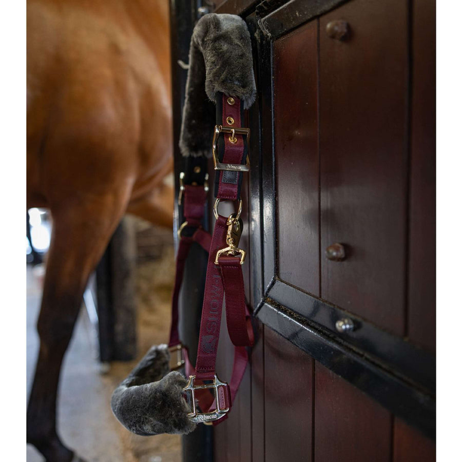 Bucas Halter Show-Line Burgundy/Black
