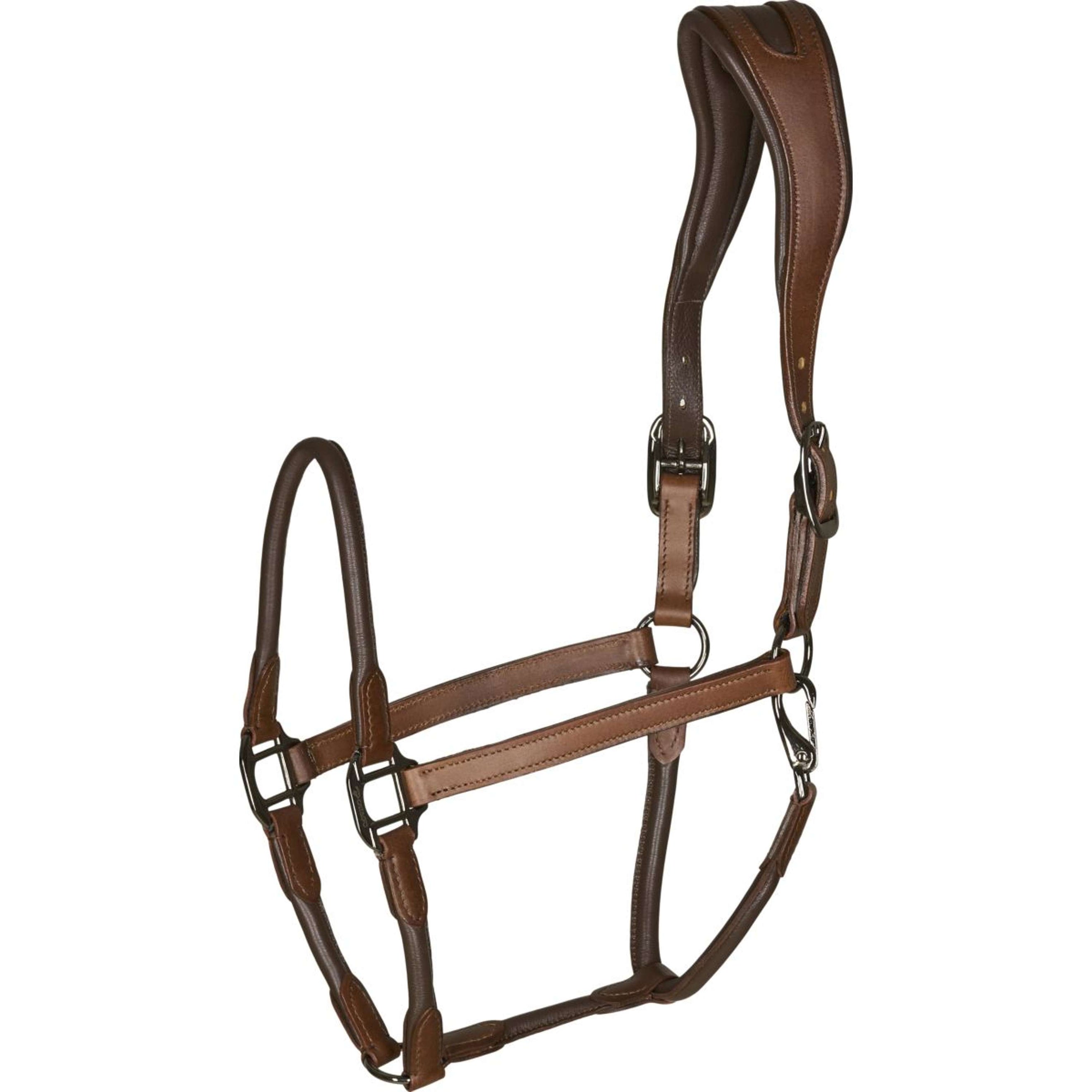 Catago Leather Halter Brown