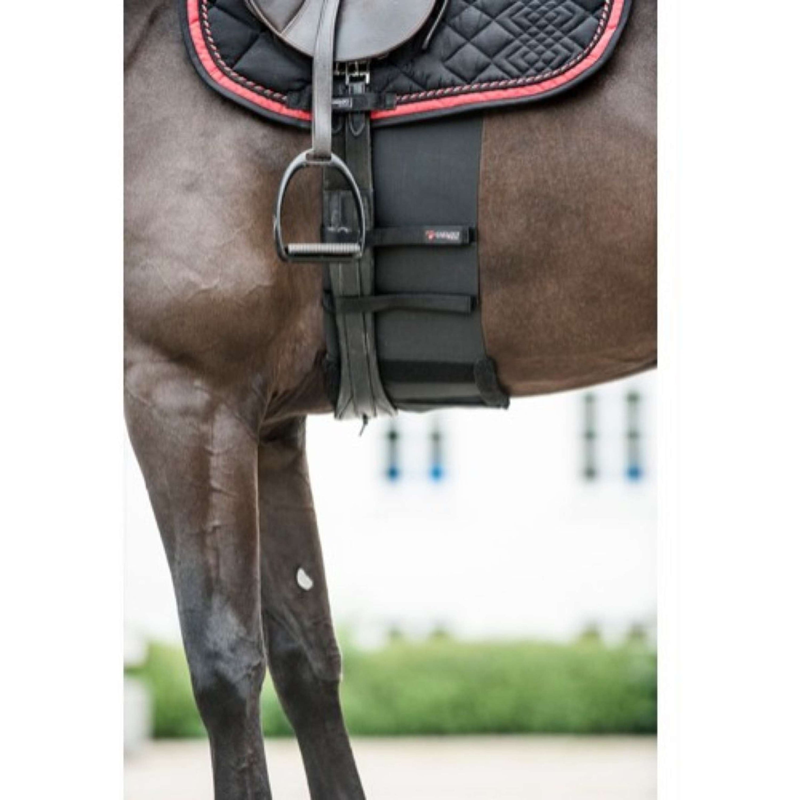 Catago Body Shield Black