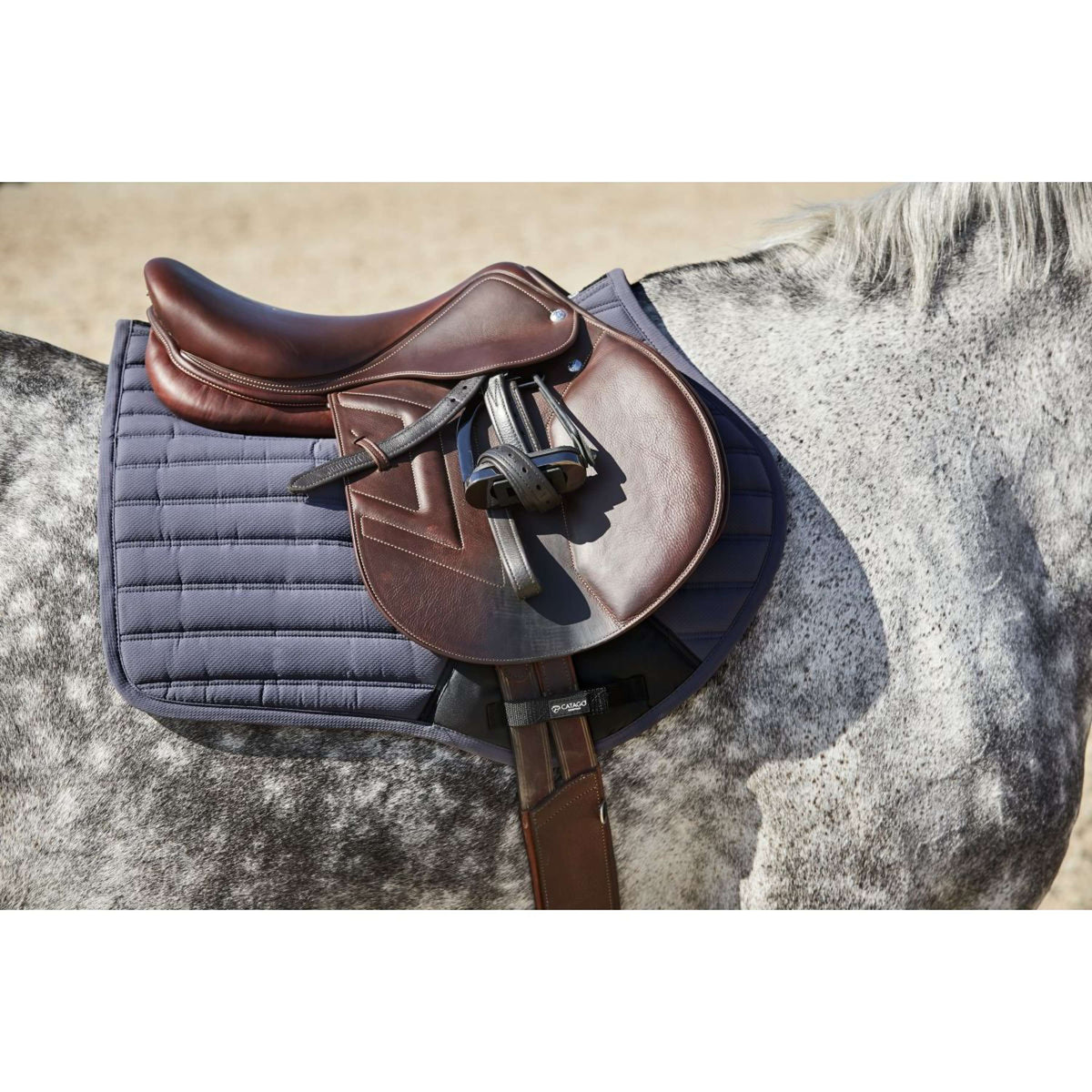 Catago Saddlepad Hybrid Jumping Periscope