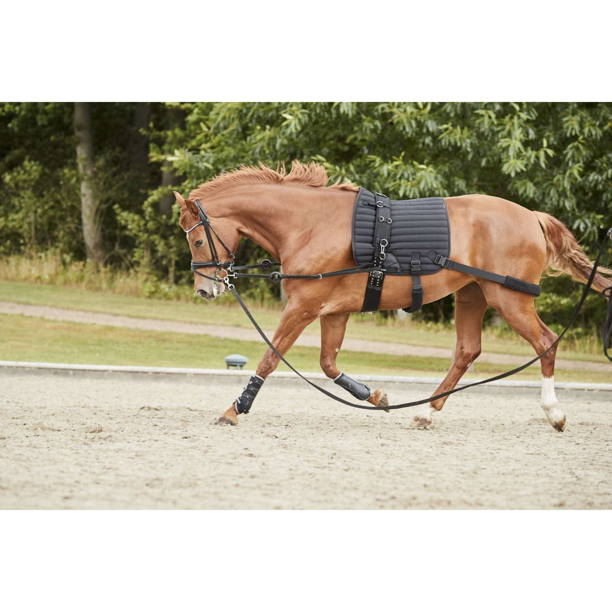 Catago Saddlepad Hybrid Training General Purpose Black