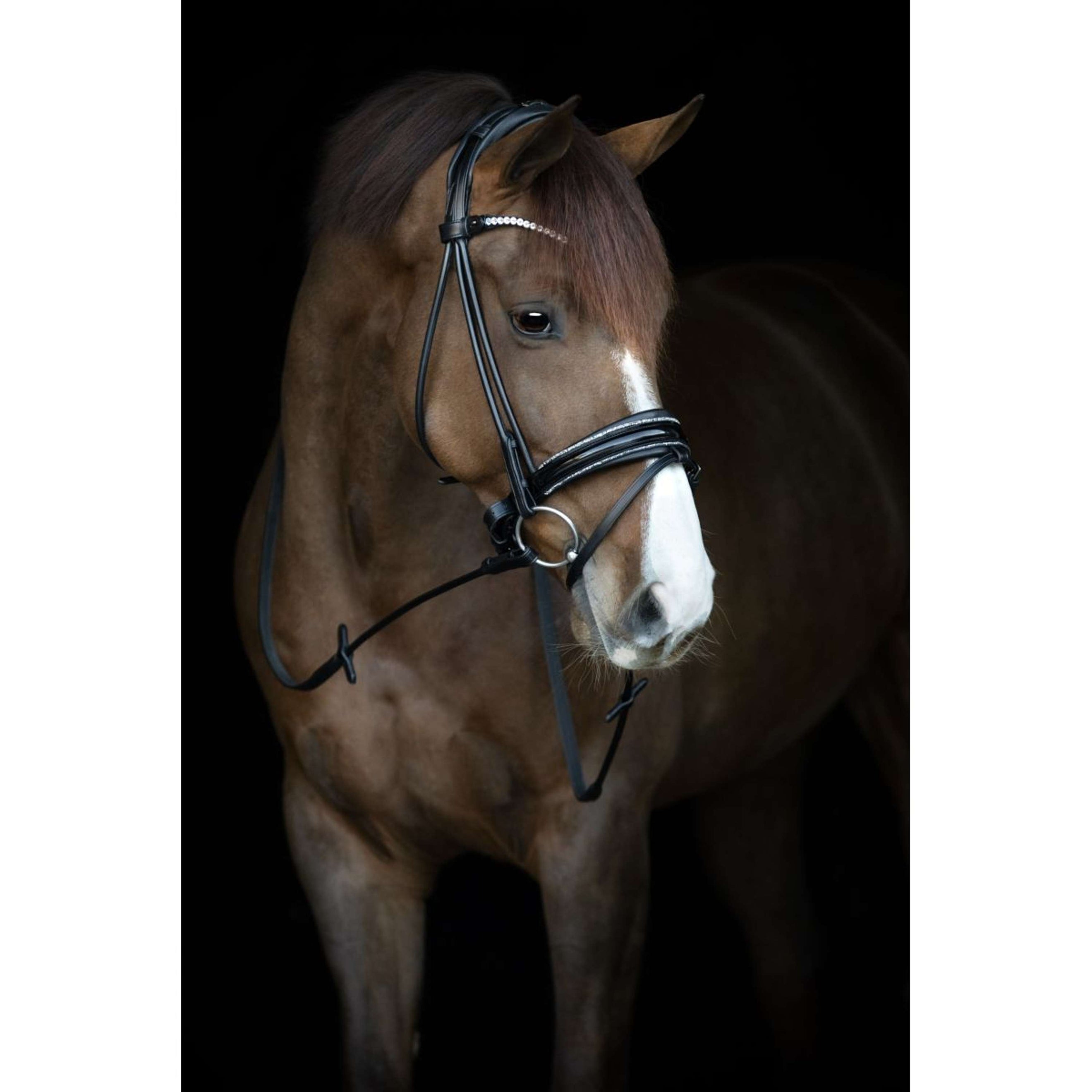 Catago Bridle Nival 24.2 Black