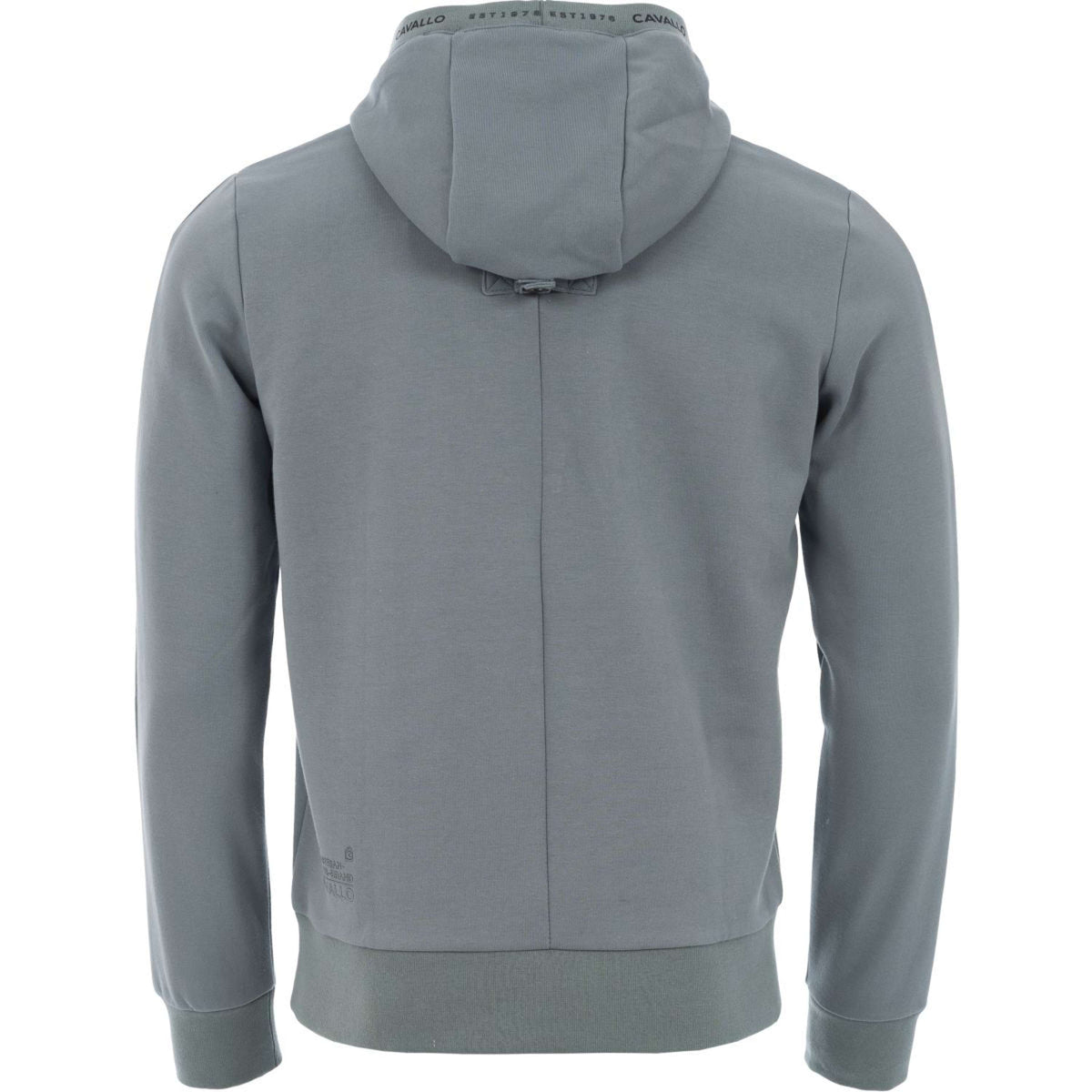 Cavallo Hoodie Ehan Men Dusty Mint