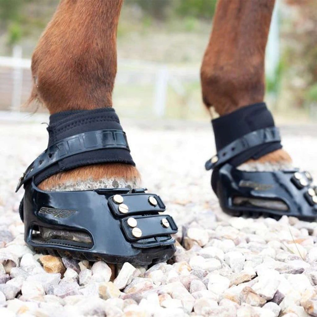 Scoot Boot Endurance Gaiter Black