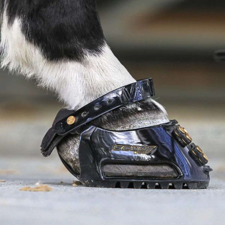 Scoot Boot Horse Shoe Regular Single Pony Black