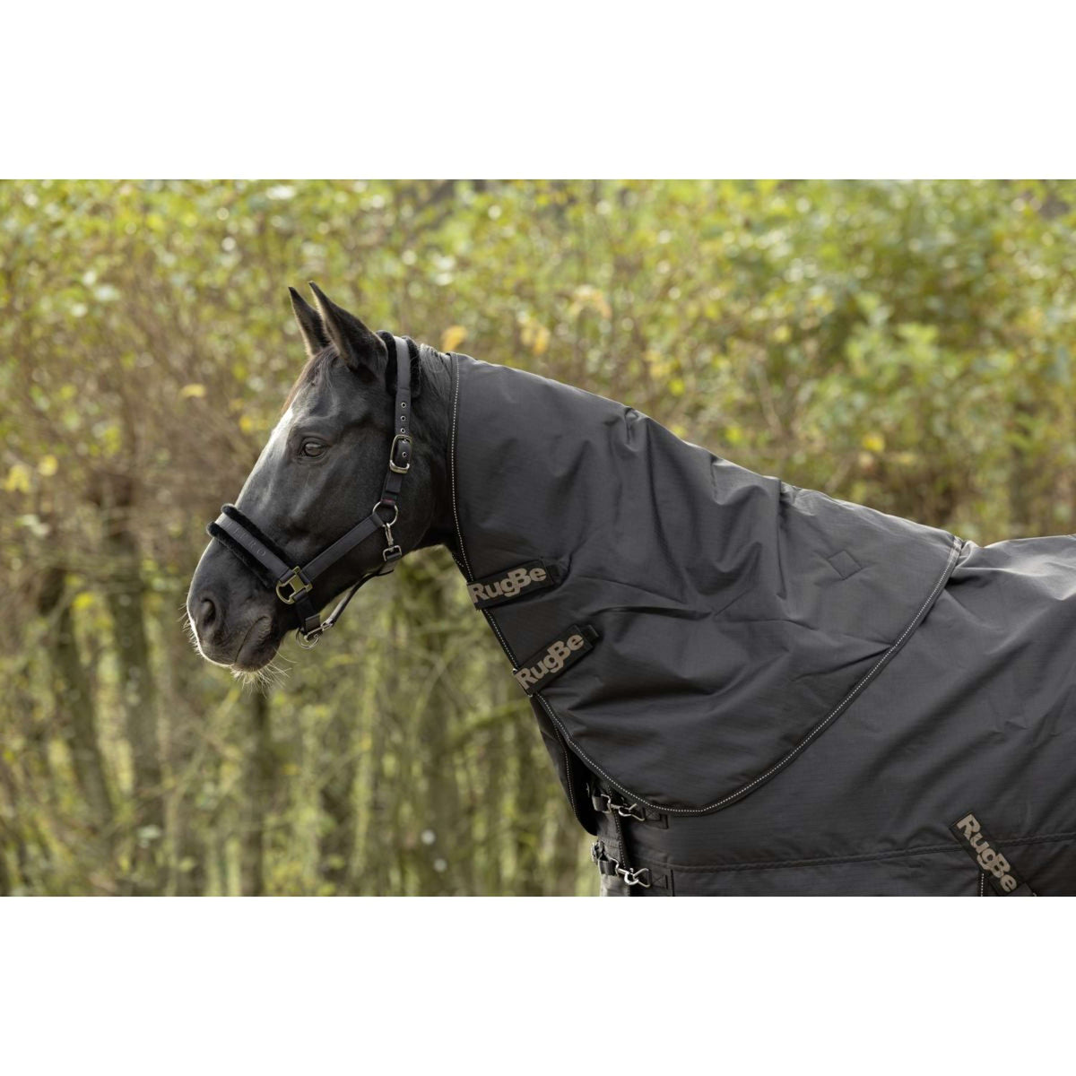 Covalliero Neck Cover RugBe 100gr Black