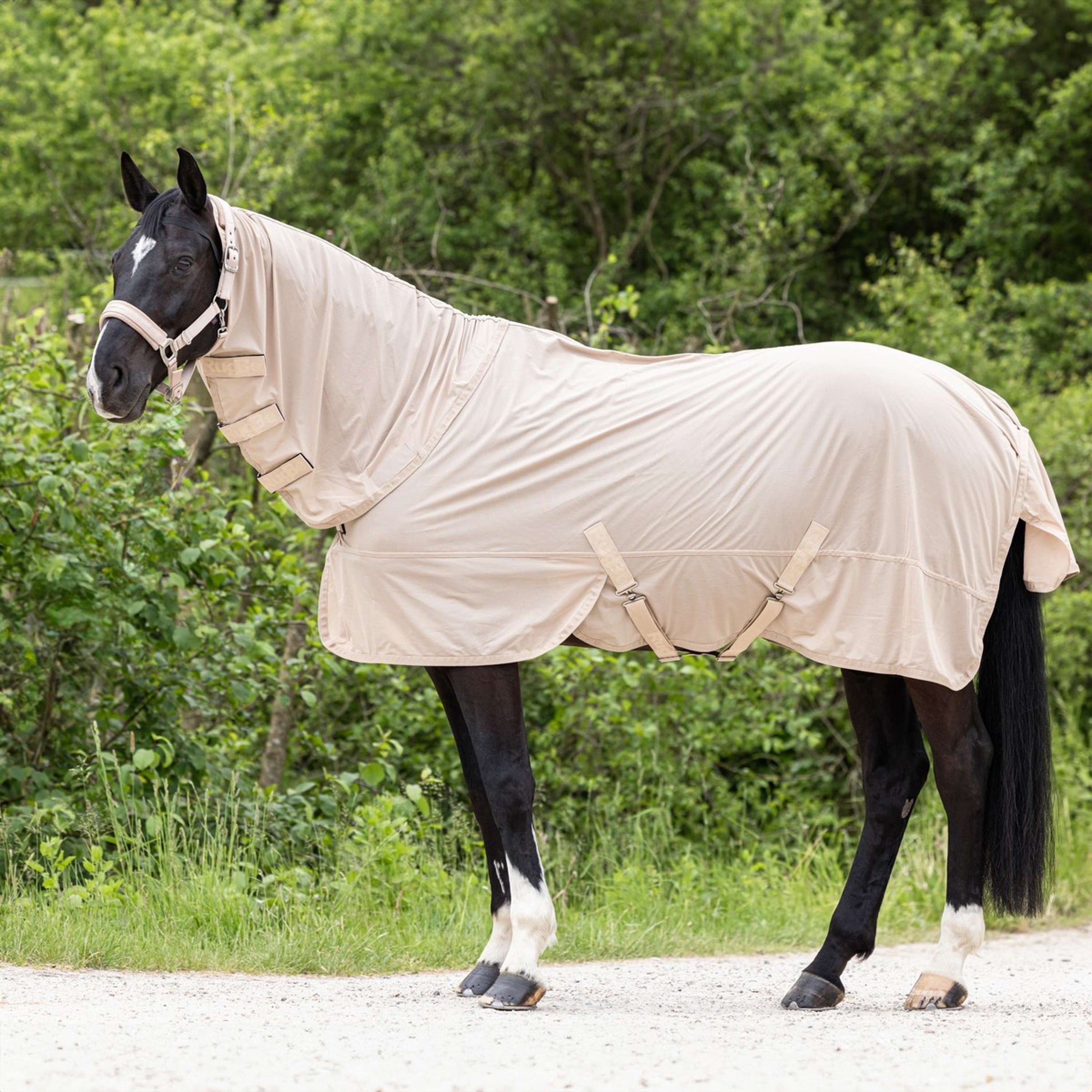 Covalliero Fly Rug Irish Cream