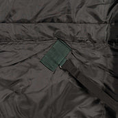 Agradi Horse Outdoor Rug 1200D 150gr Reflective Trim Green