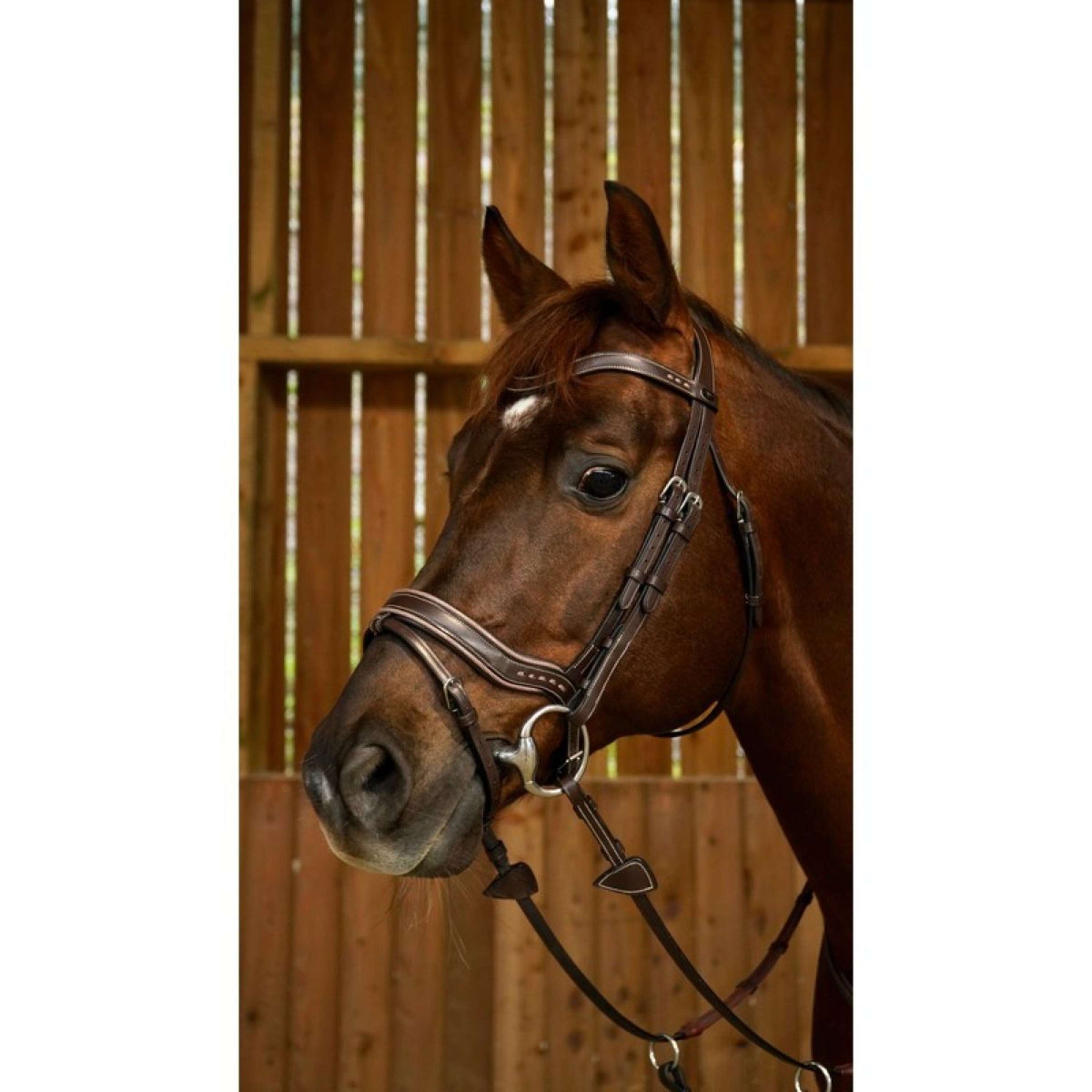 Dyon Bridle Working Fit Brown