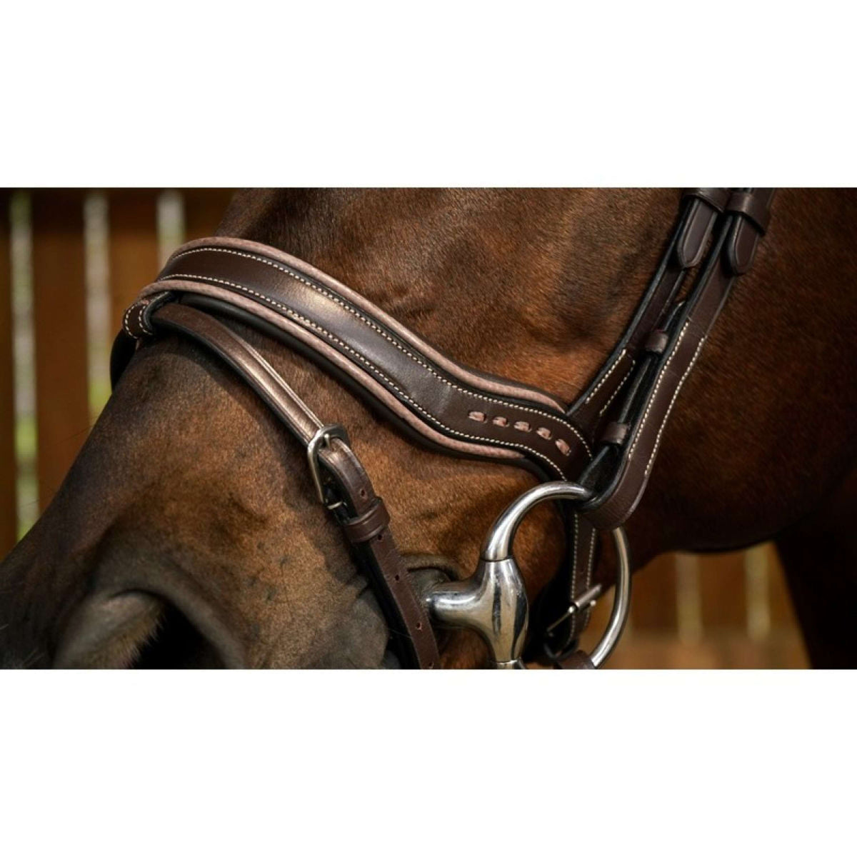 Dyon Bridle Working Fit Brown