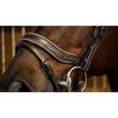 Dyon Bridle Working Fit Brown