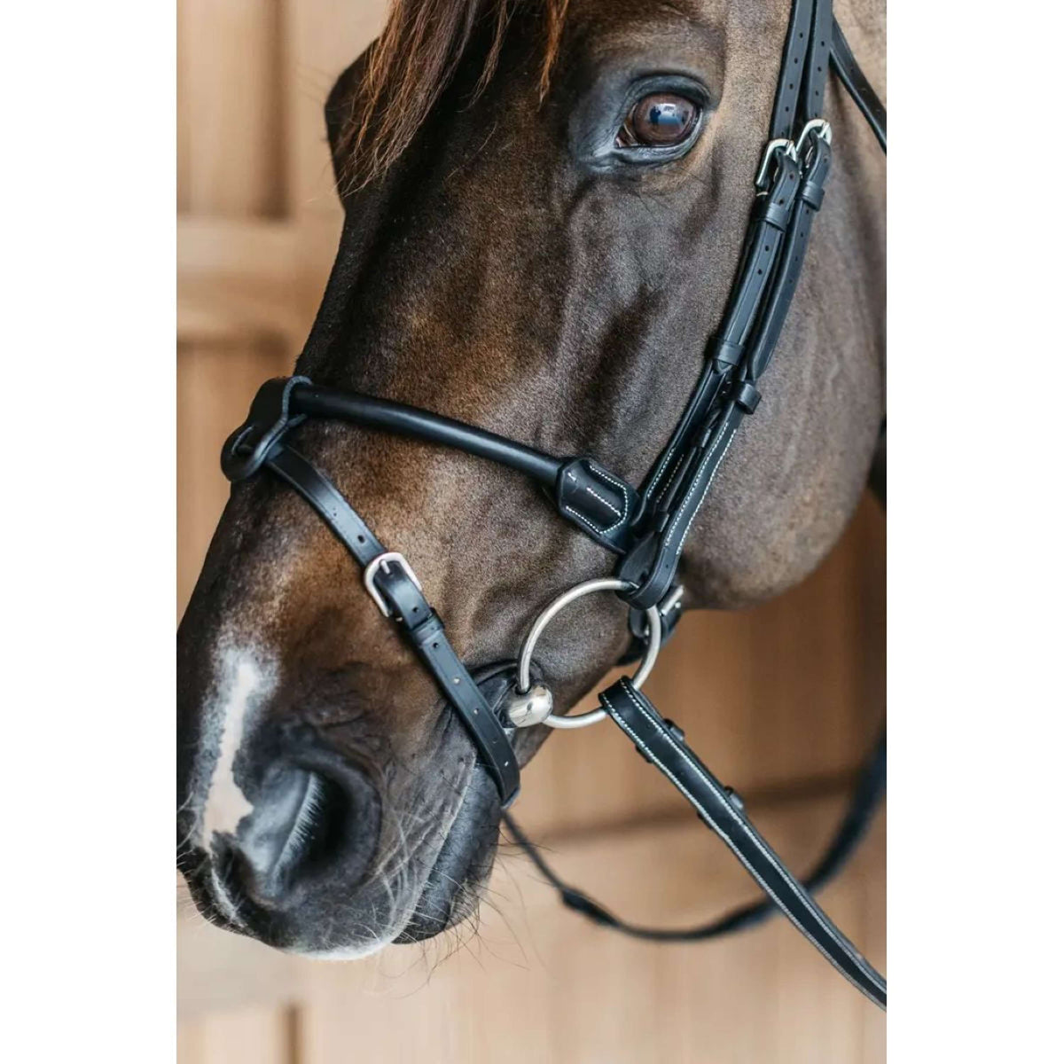 Dyon Bridle Round Leather Black