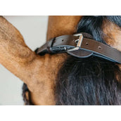 Dyon Bridle Training Brown