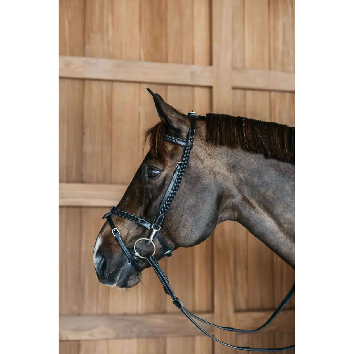 Dyon Bridle Training Black