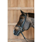 Dyon Bridle Training Black