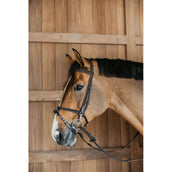 Dyon Bridle Training Brown