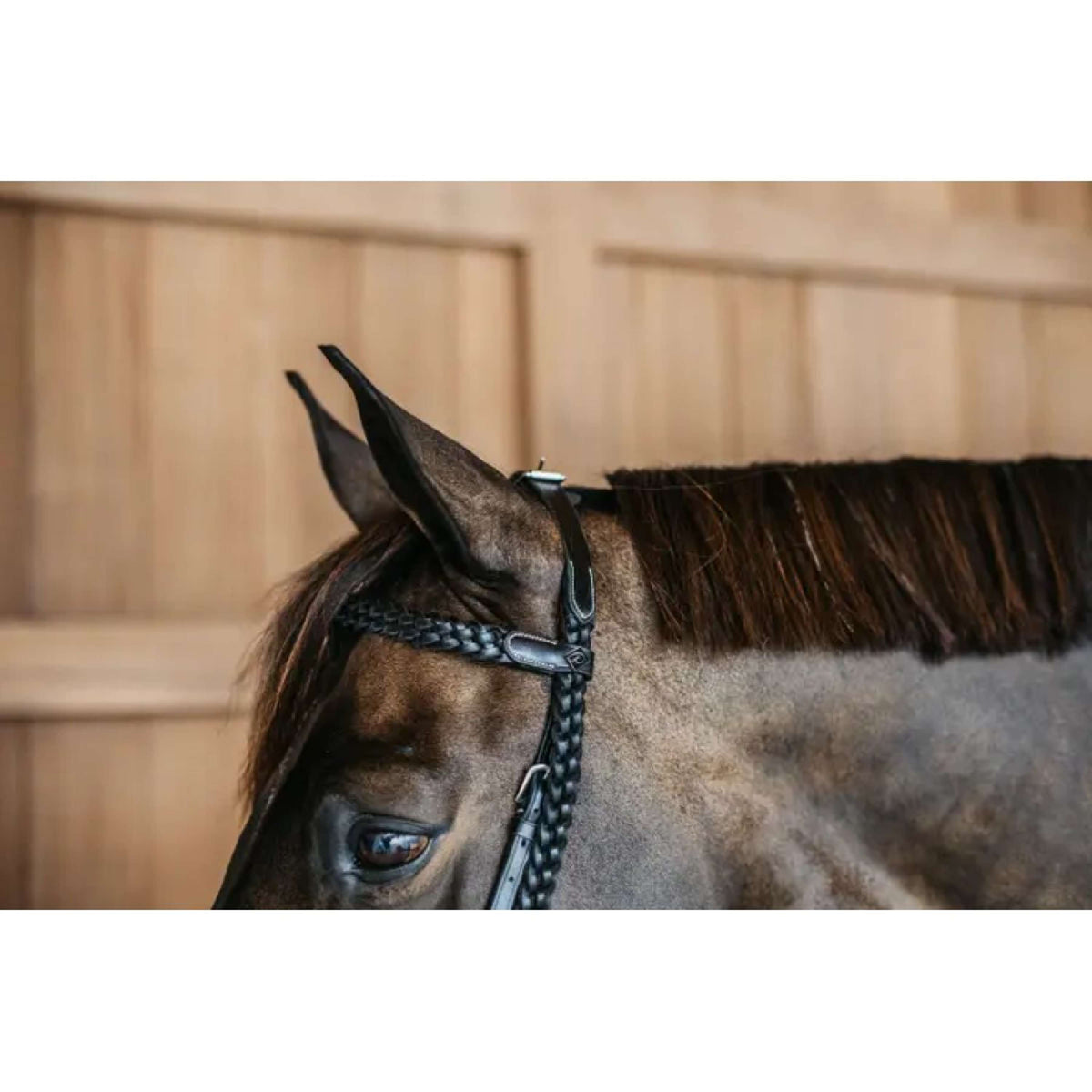 Dyon Bridle Training Black