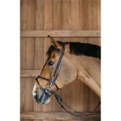 Dyon Bridle Training Brown