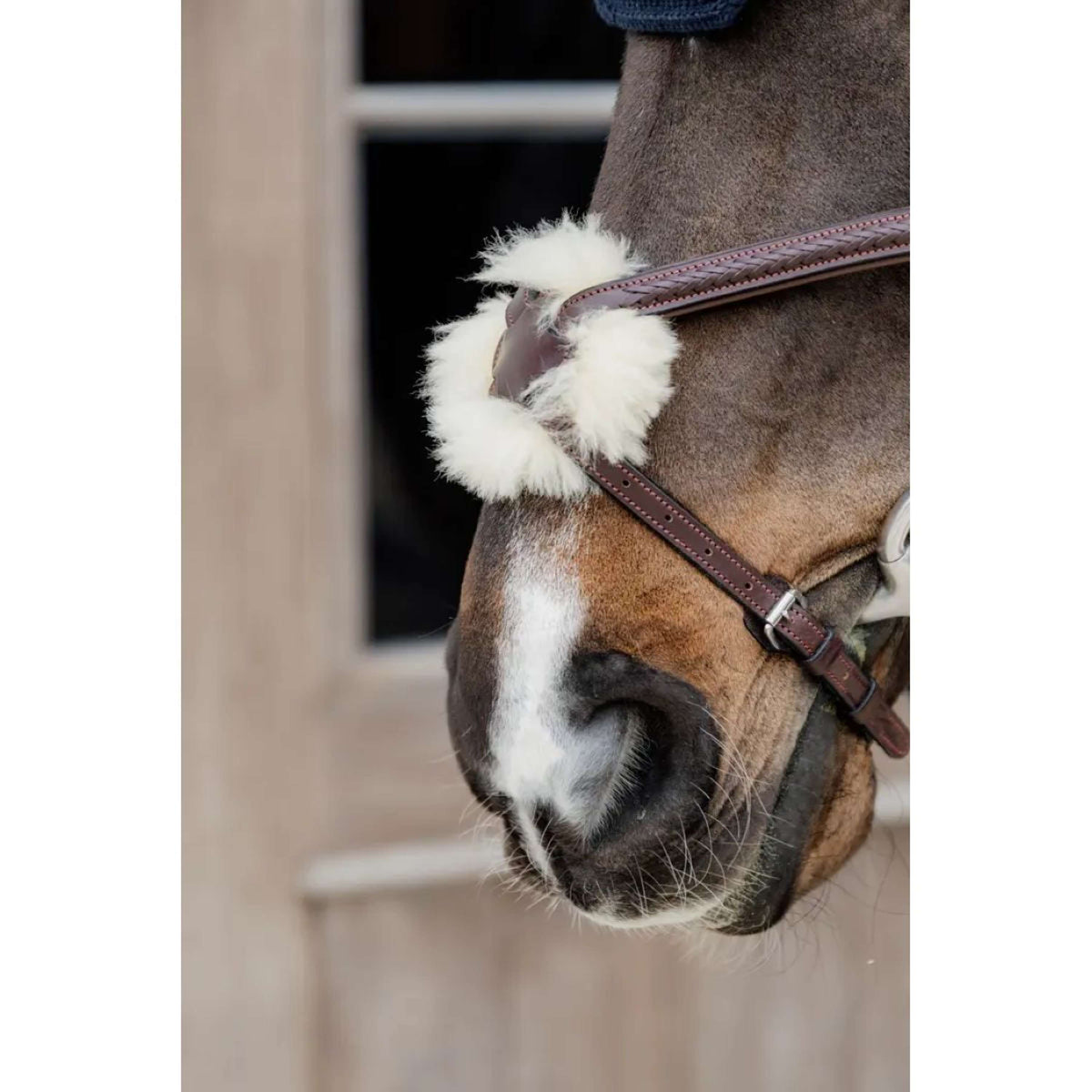 Dyon Mexican bridle Figure 8 New English Brown