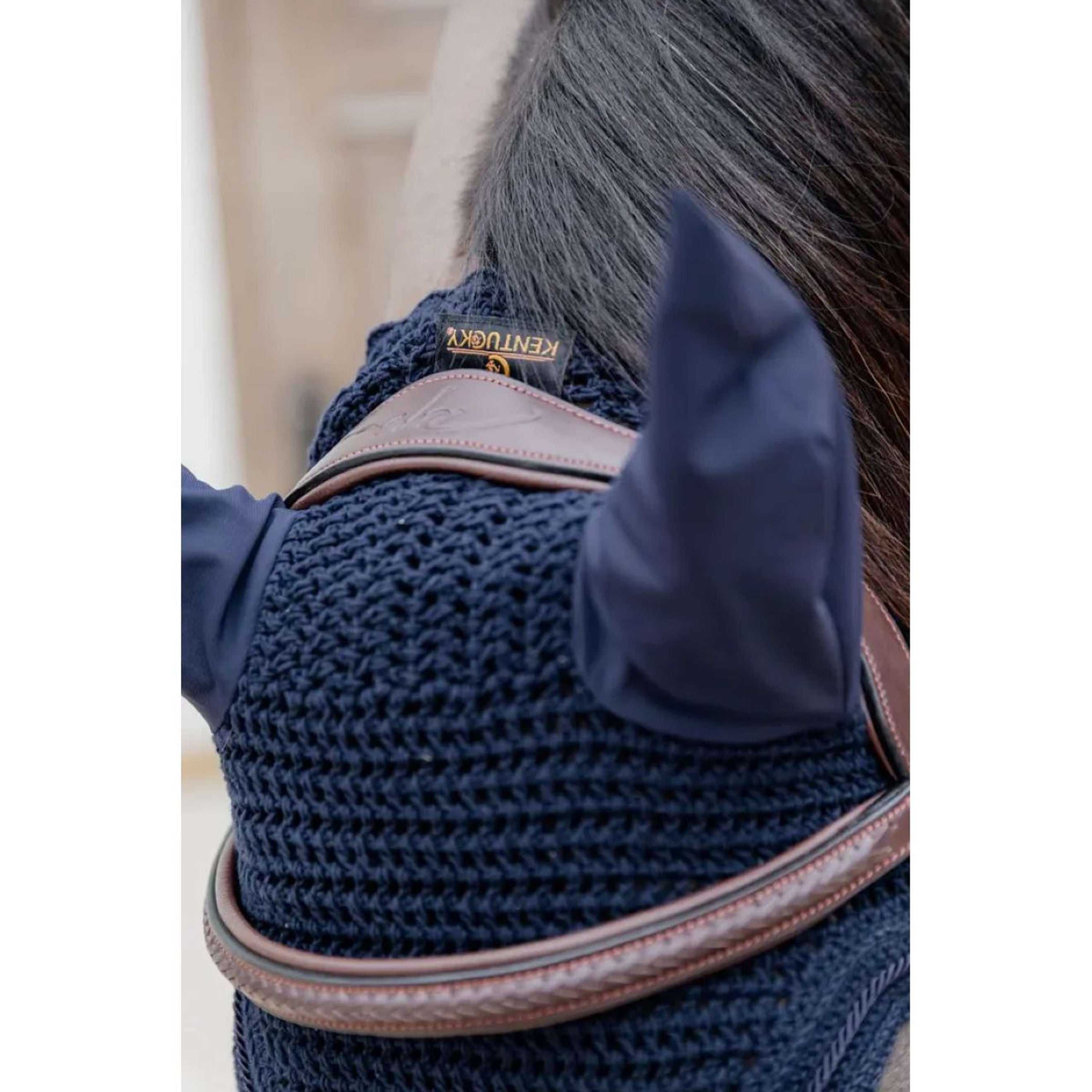 Dyon Mexican bridle Figure 8 New English Brown Dyon Mexican bridle Figure 8 New English Brown