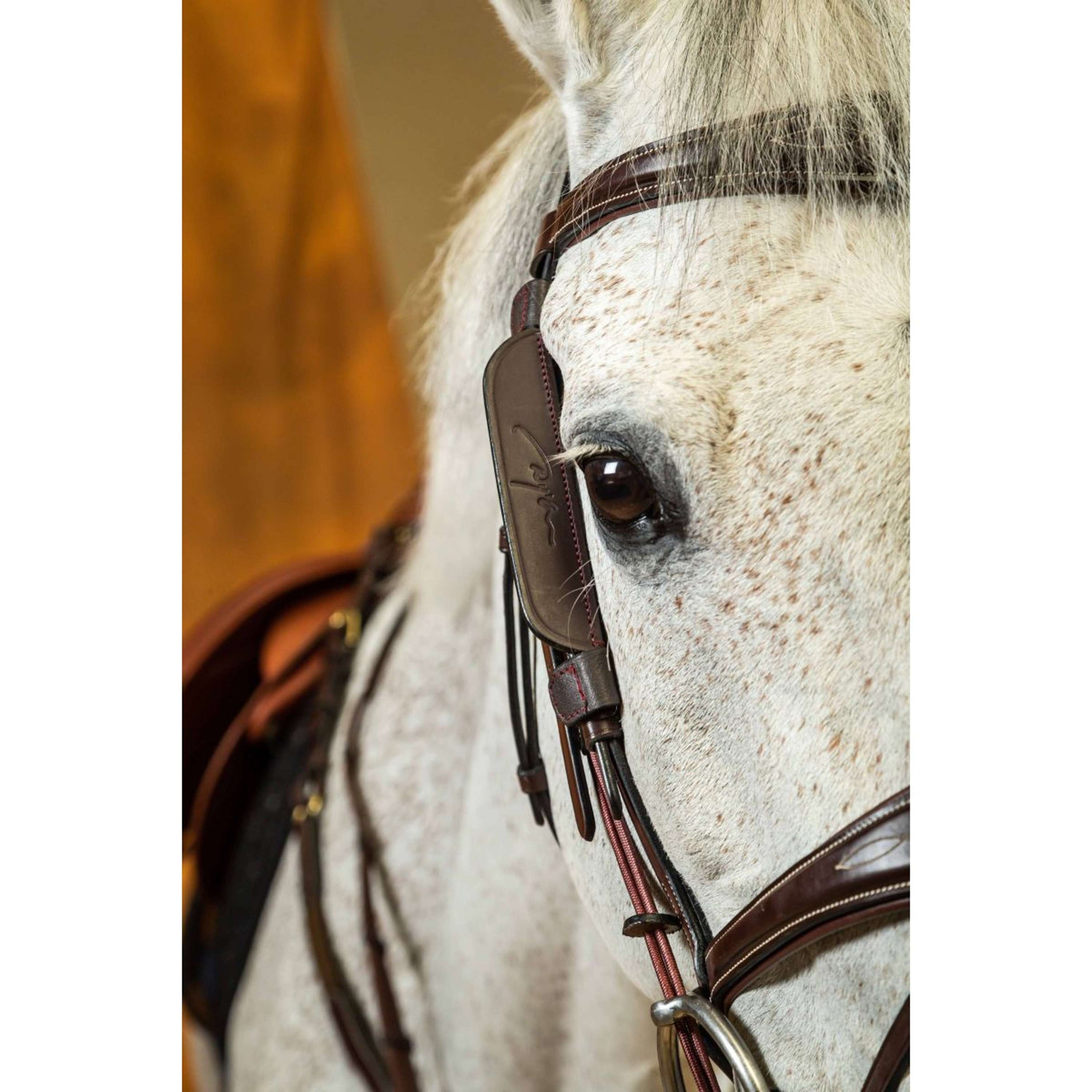 Dyon Blinkers Black Dyon Blinkers Black