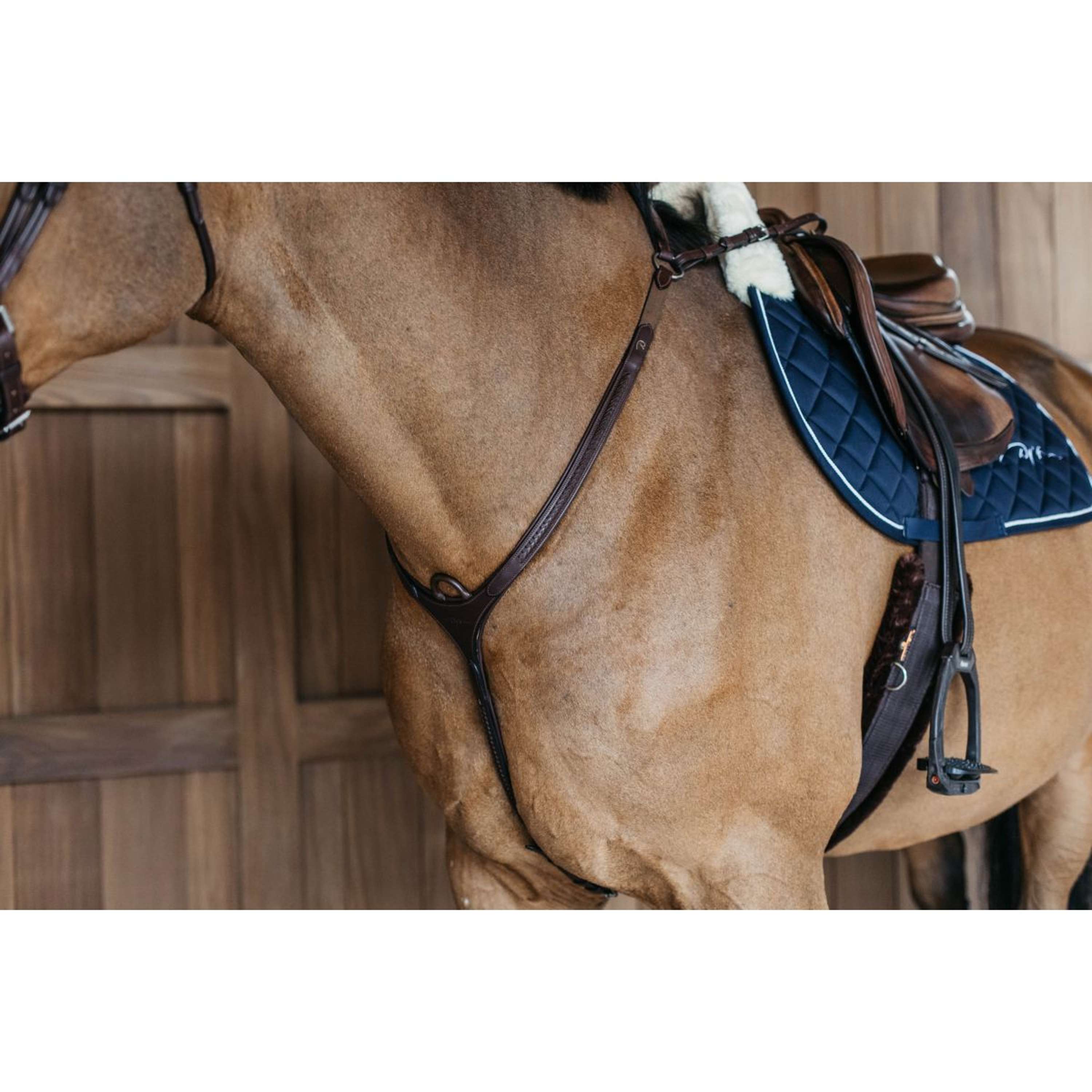 Dyon Chest Buckle Bridge Braided Brown