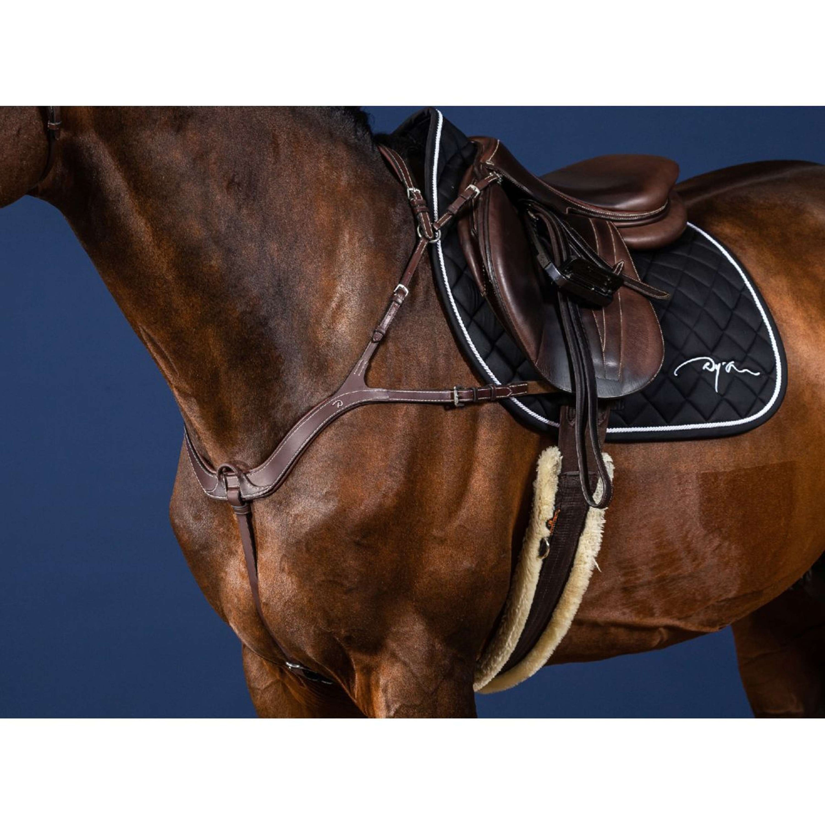 Dyon Chest Buckle Anatomical Brown/Silver Dyon Chest Buckle Anatomical Brown/Silver