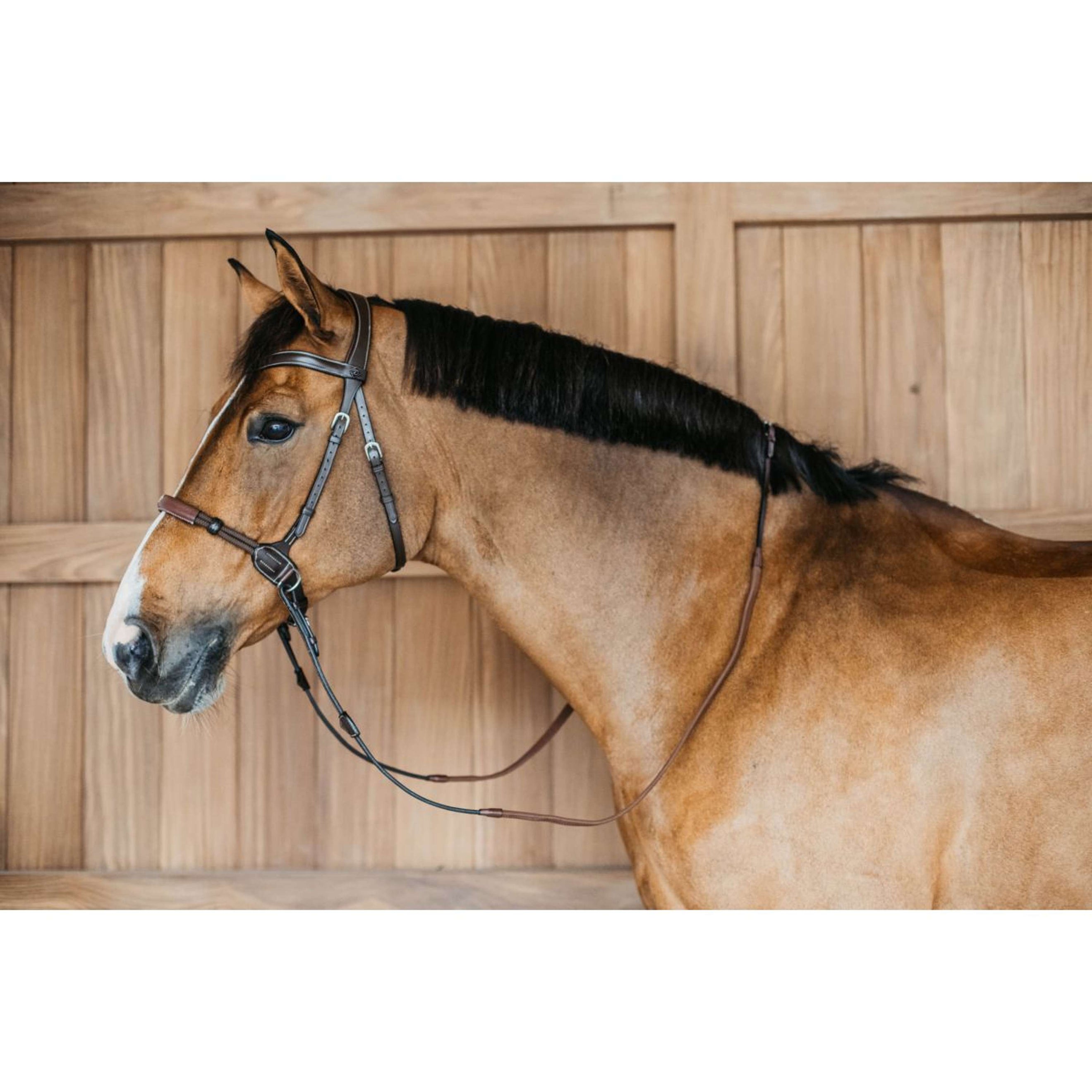 Dyon Bitless Bridle Brown