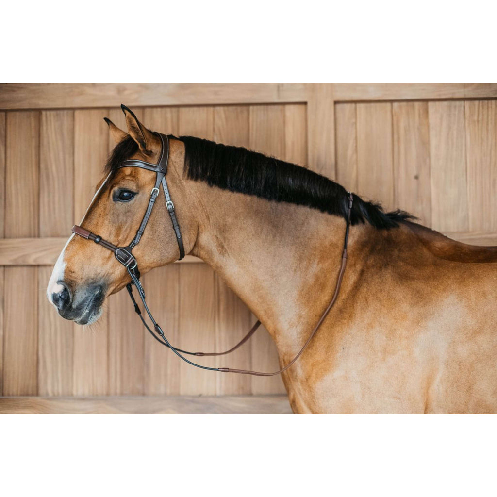 Dyon Bitless Bridle Brown