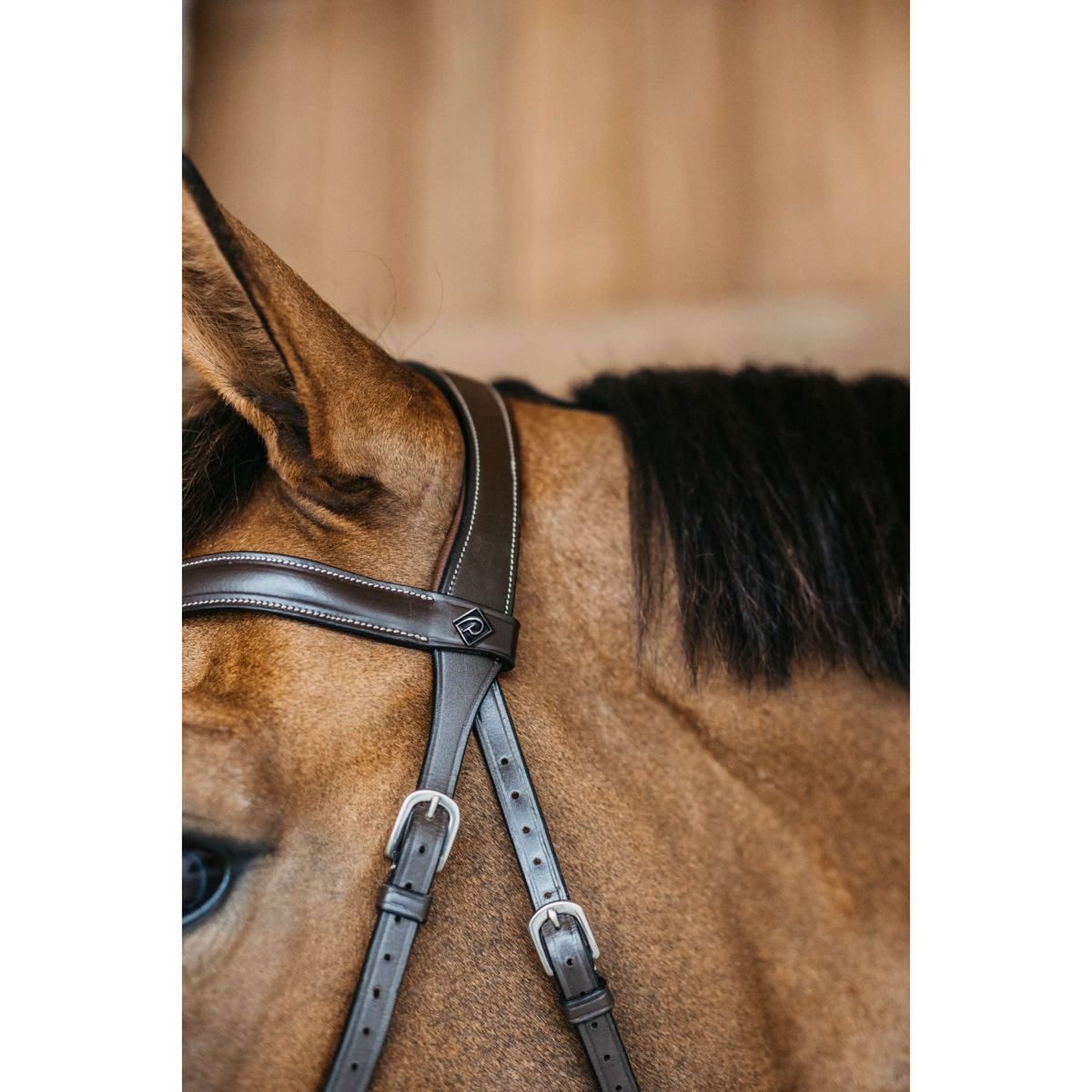 Dyon Bitless Bridle Brown