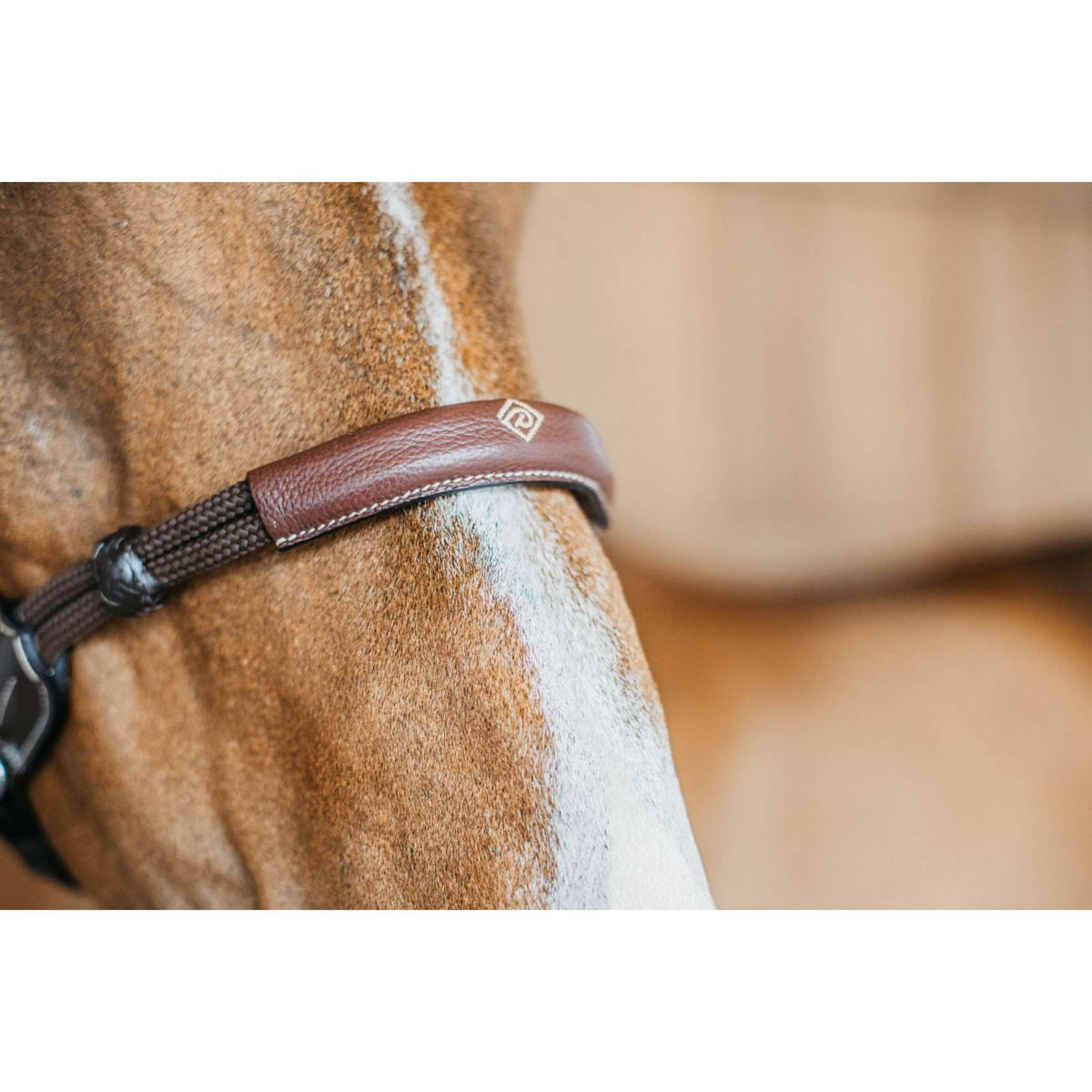 Dyon Bitless Bridle Brown