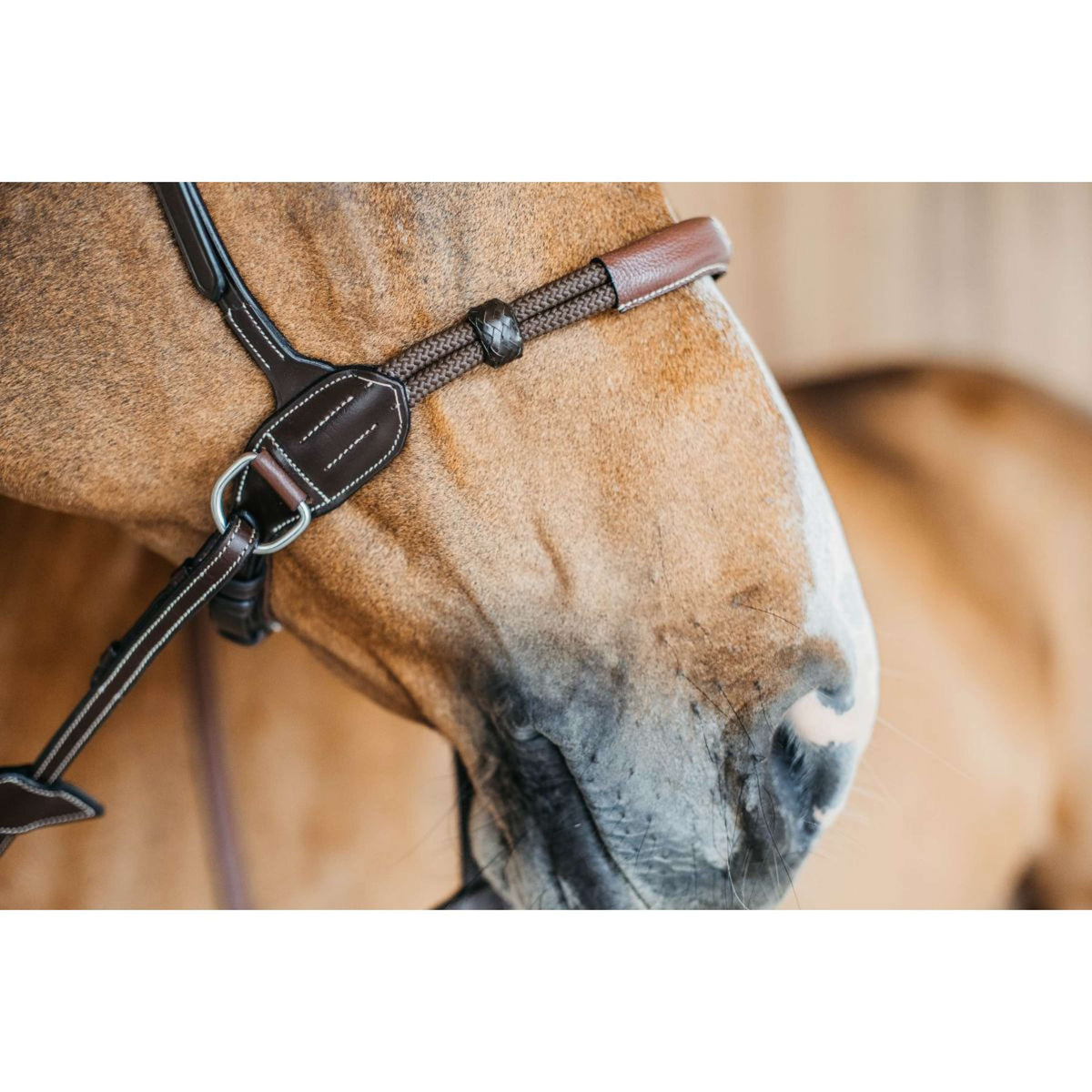 Dyon Bitless Bridle Brown