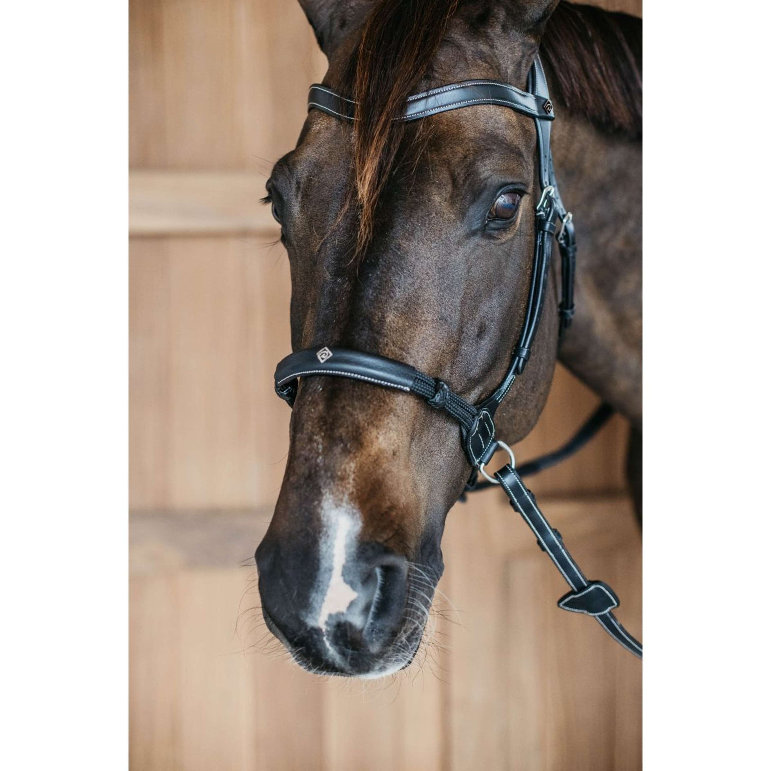 Dyon Bitless Bridle Black