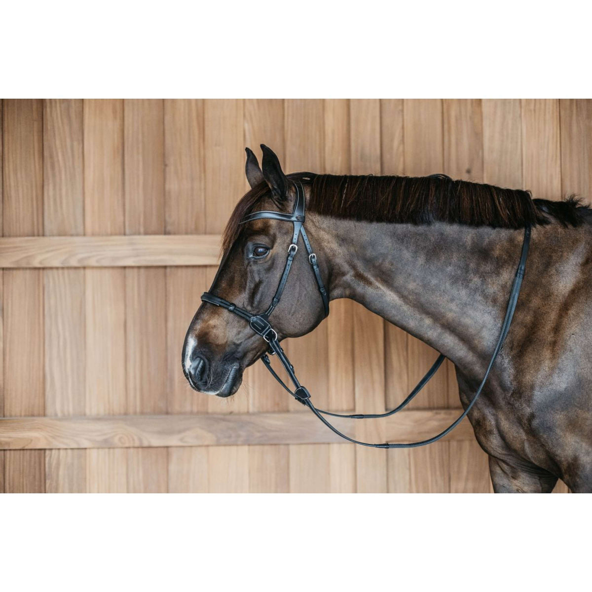 Dyon Bitless Bridle Black