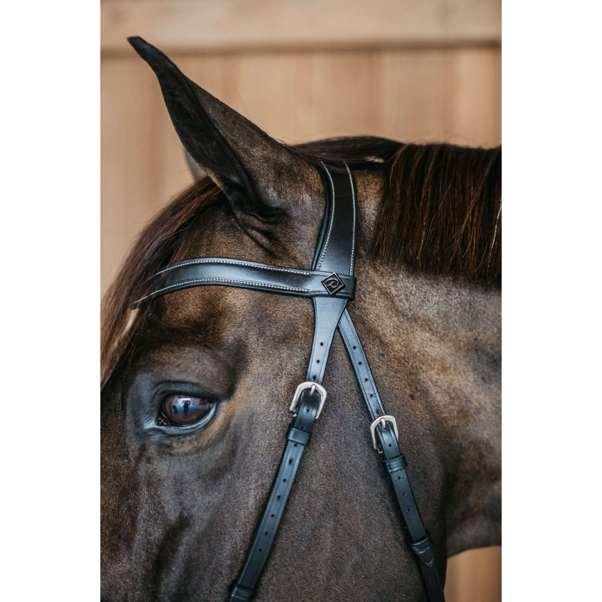 Dyon Bitless Bridle Black