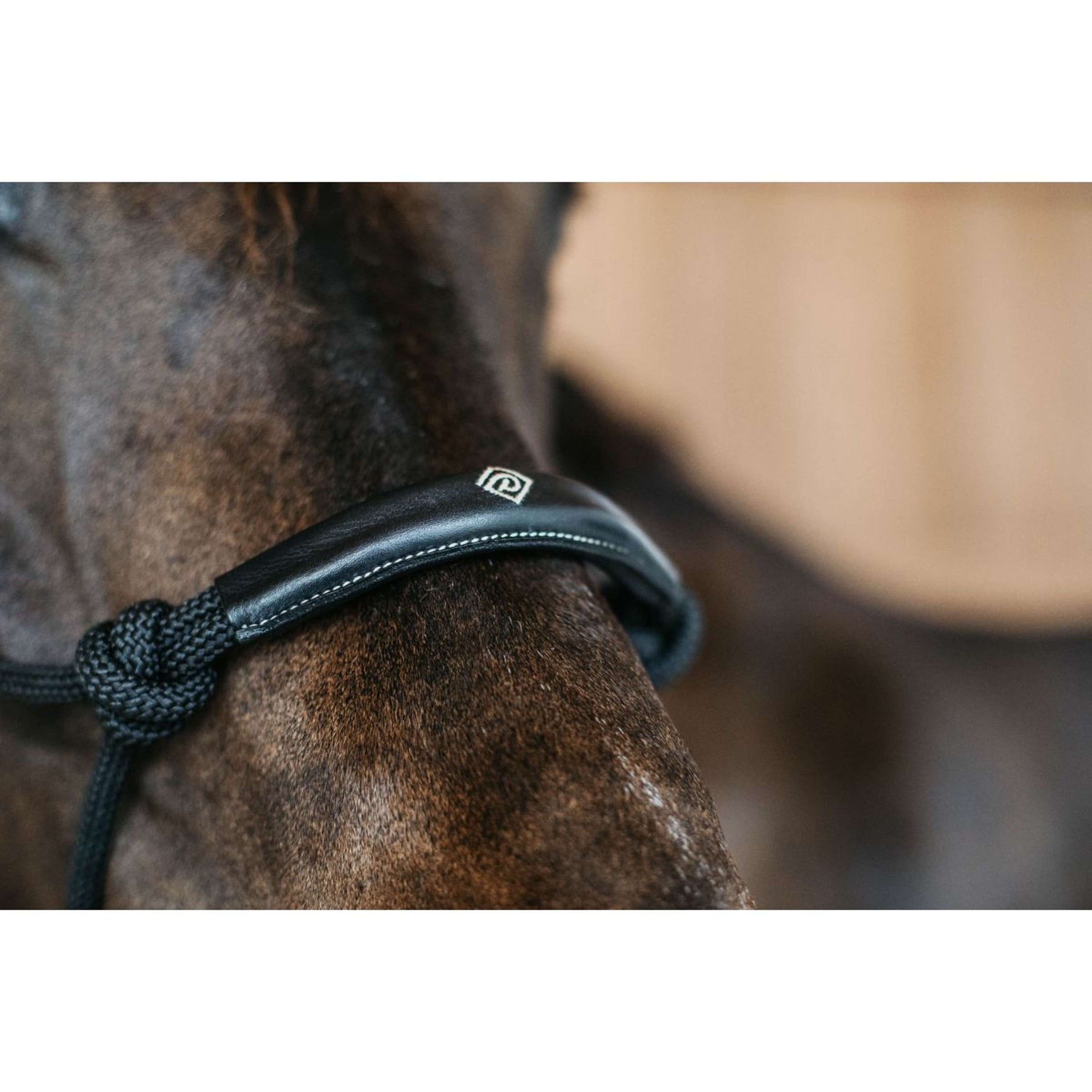 Dyon Traininghalter Black Dyon Traininghalter Black