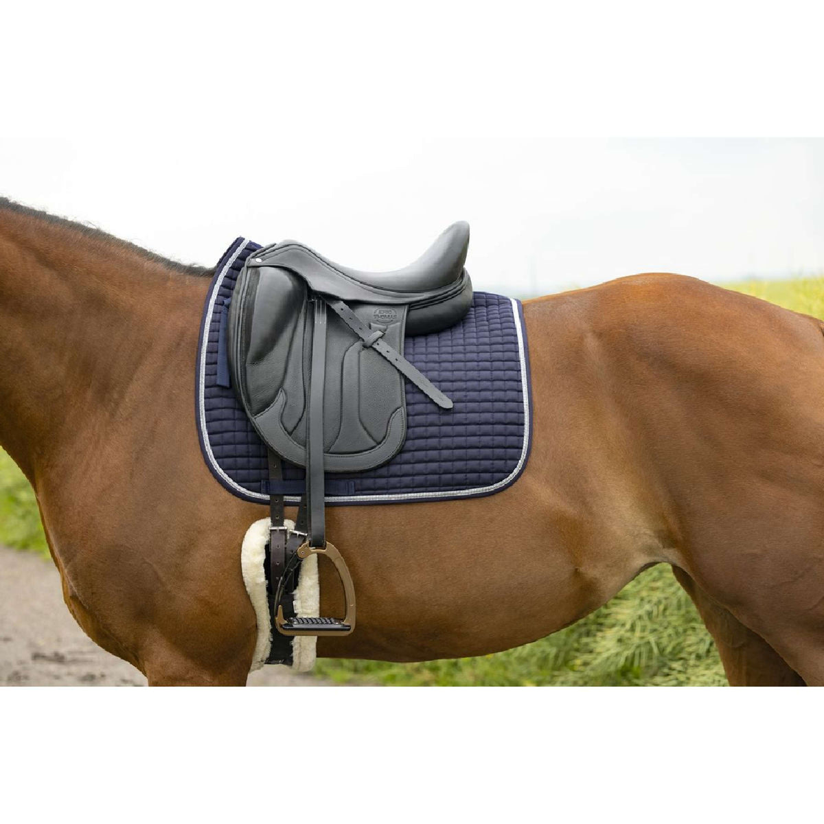 Riding World Saddlepad Girly Dressage Navy