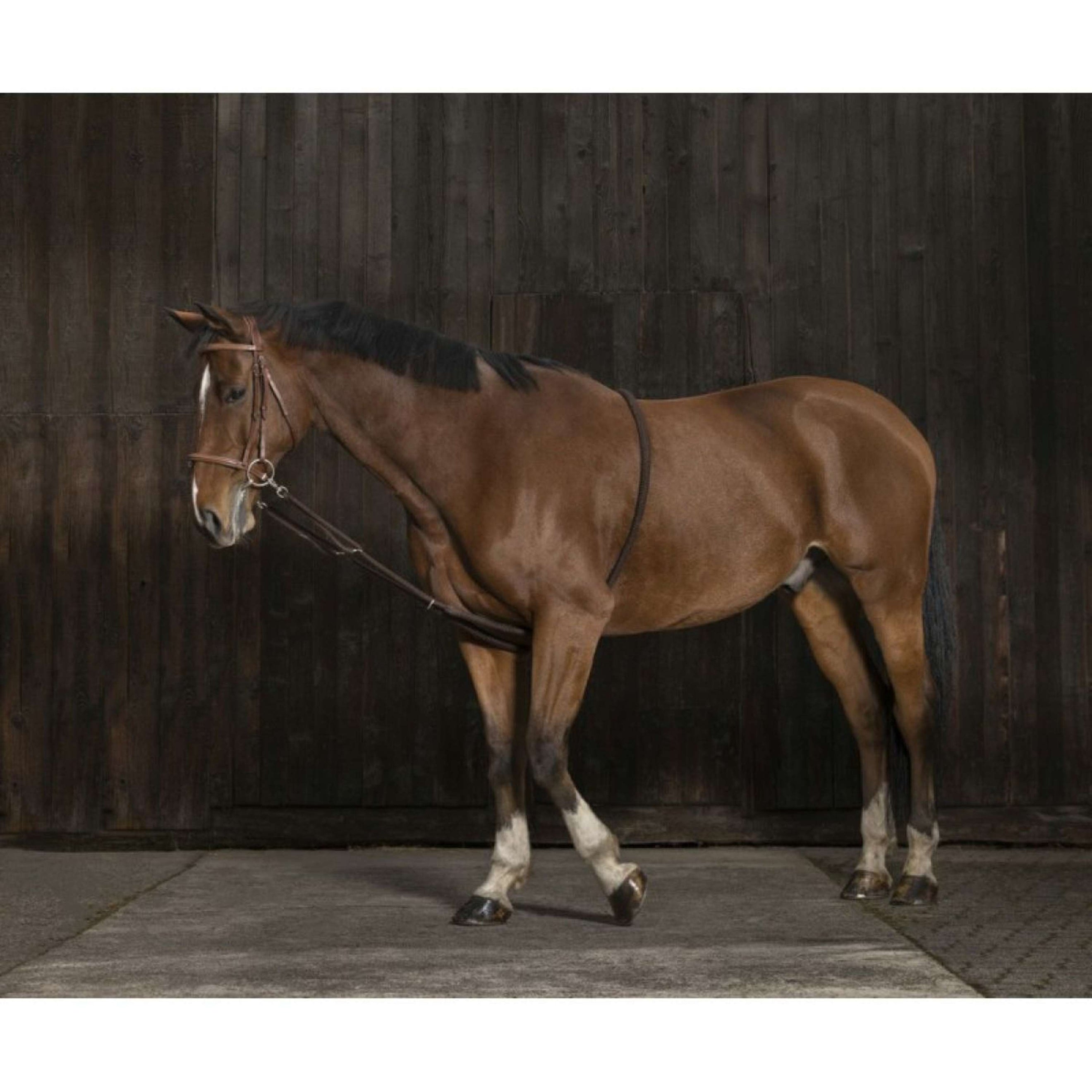 Norton Lunging Line Stretchable Brown