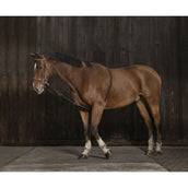 Norton Lunging Line Stretchable Brown