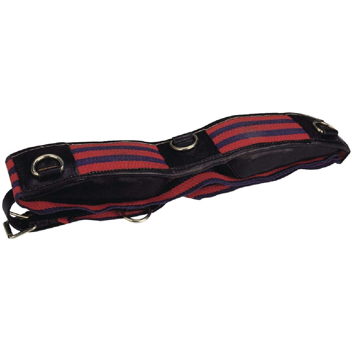 Norton Lunging Girth Club Navy/Red