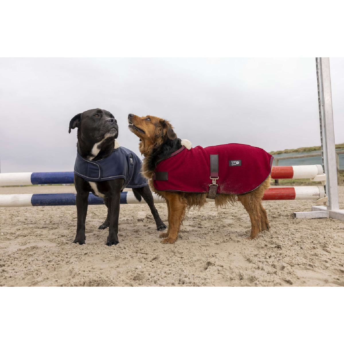 Diego & Louna Dog Rug Polar Navy