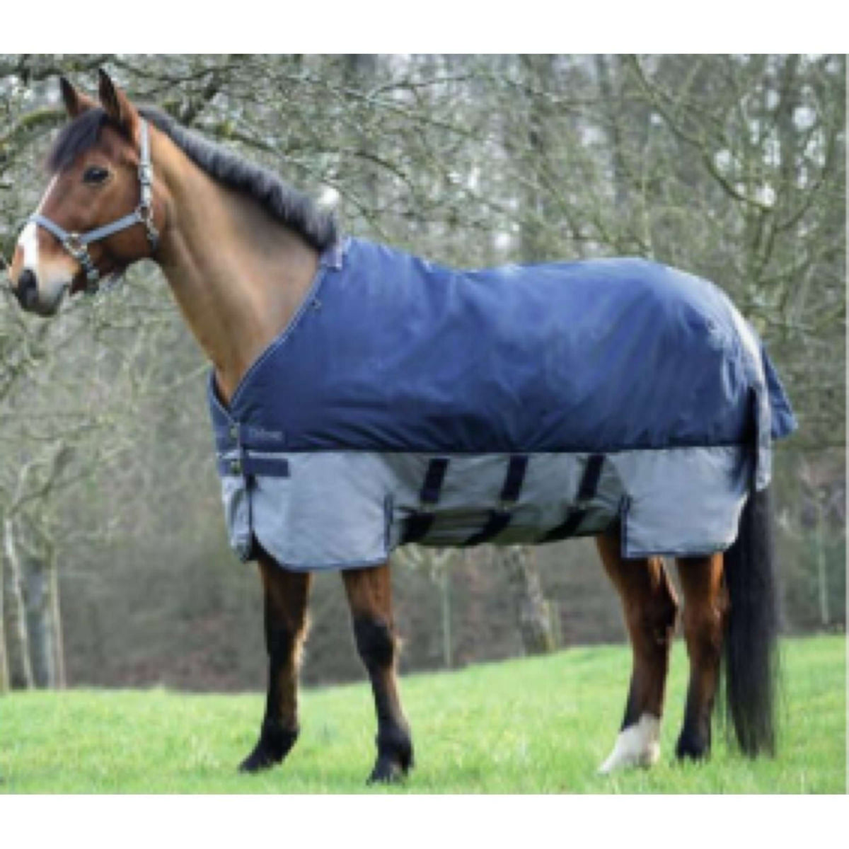 EQUITHÈME Turnout Rug Tyrex with Bellyflap 600D 300g Navy/Grey Dots