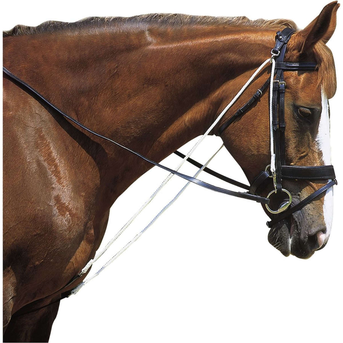 Norton Chambon Club with Pulleys Black