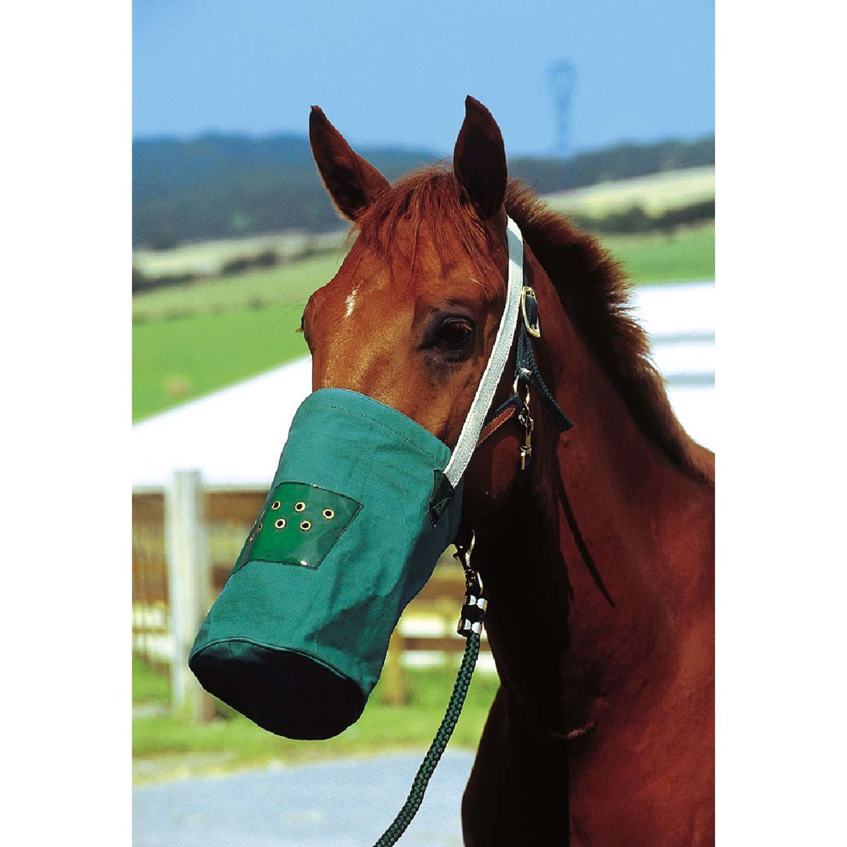 Hippotonic Feed Bag Canvas Green