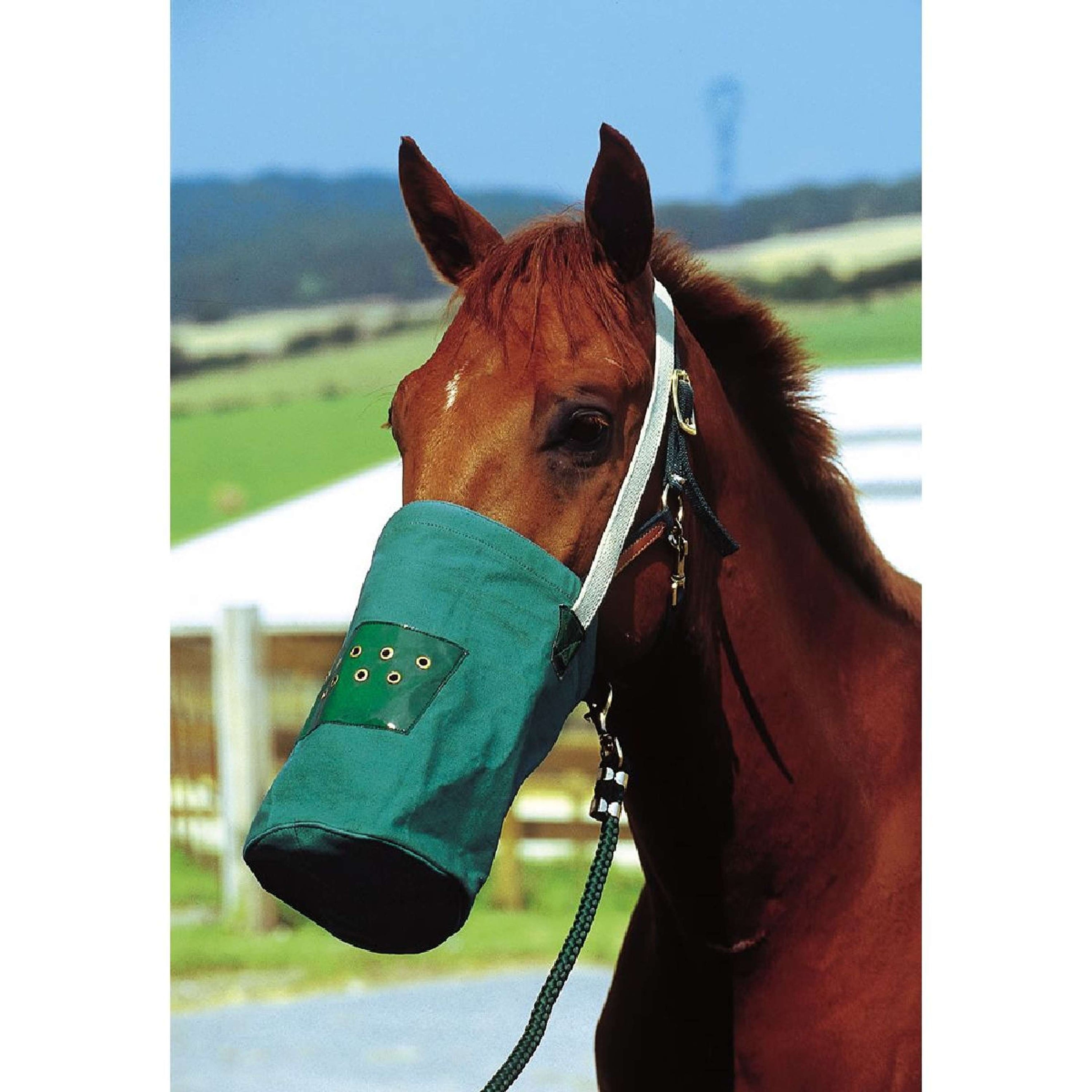 Hippotonic Feed Bag Canvas Green