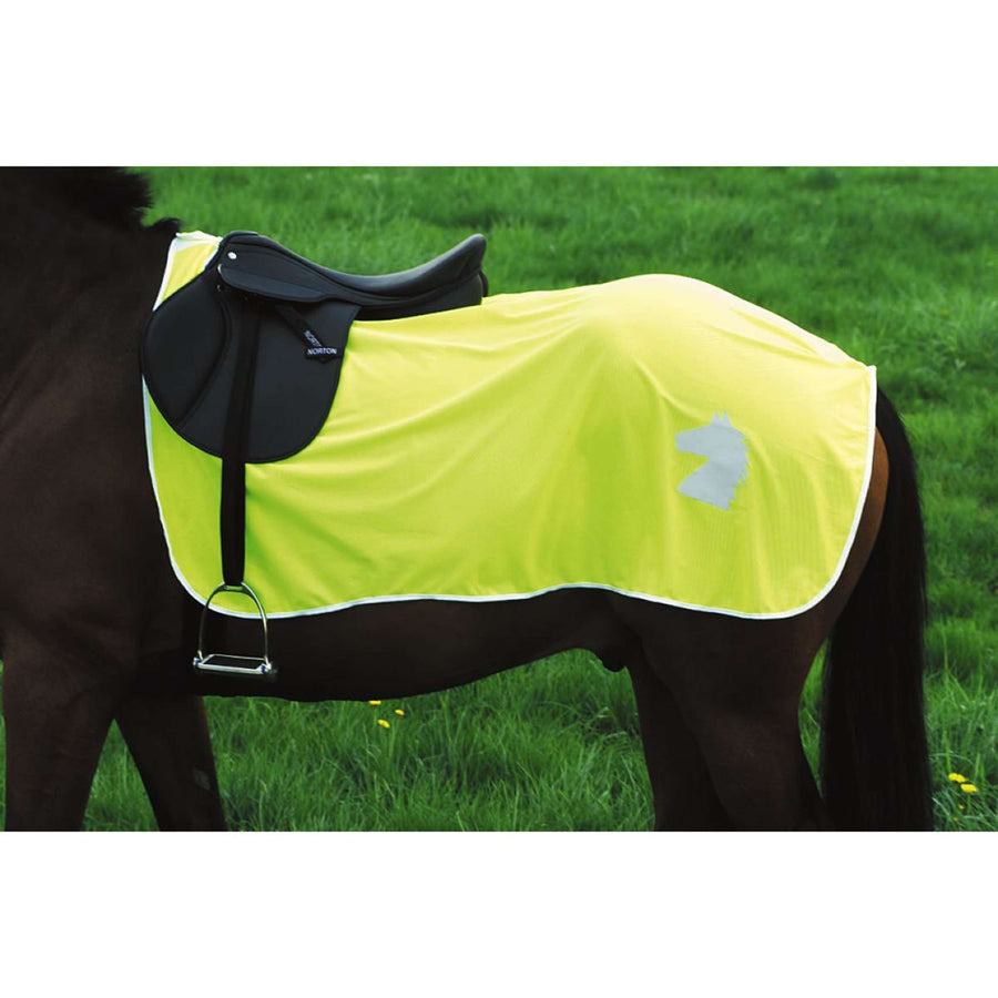 Norton Exercise Rug Reflection Yellow
