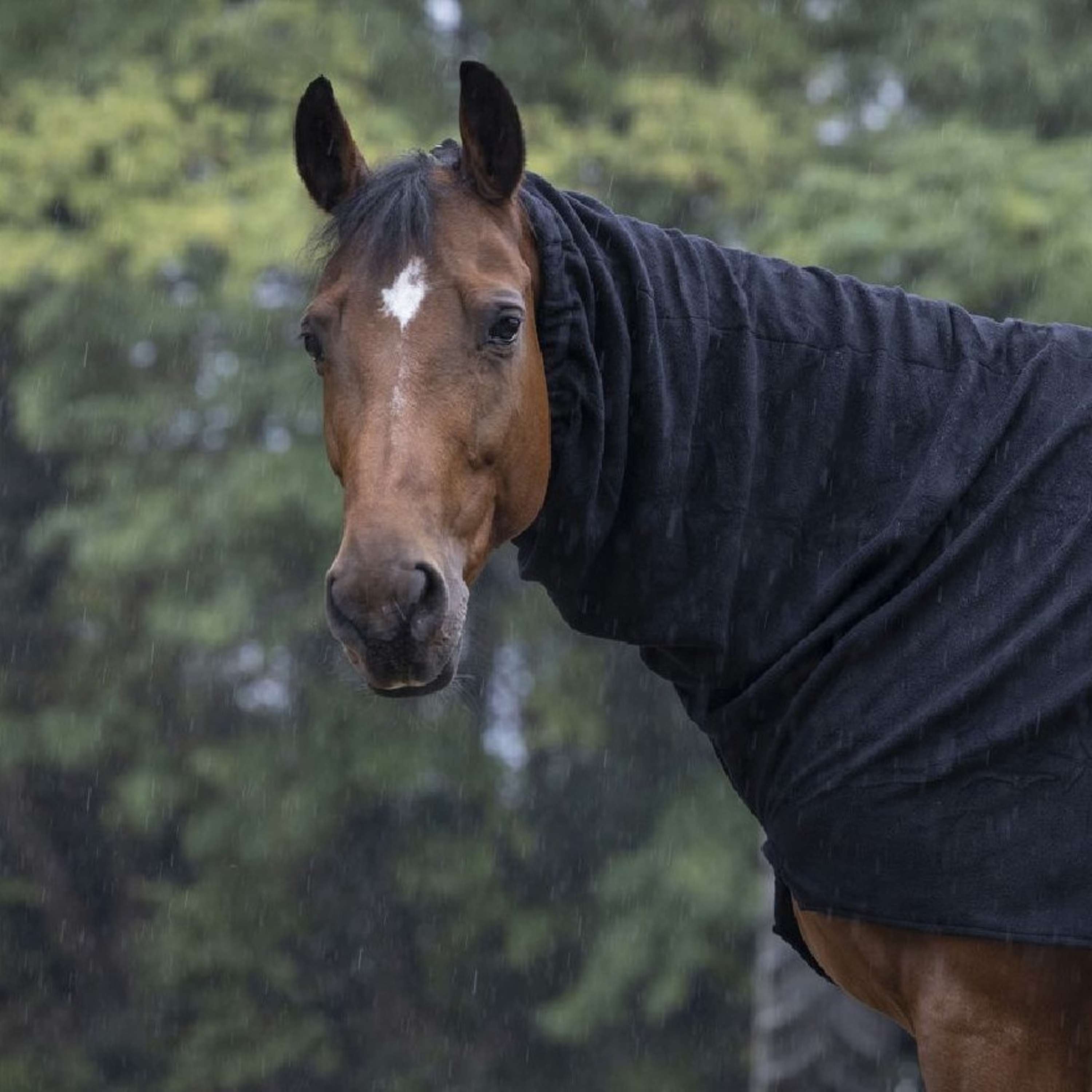 EQUITHÈME Neck Cover Polar Fleece Black
