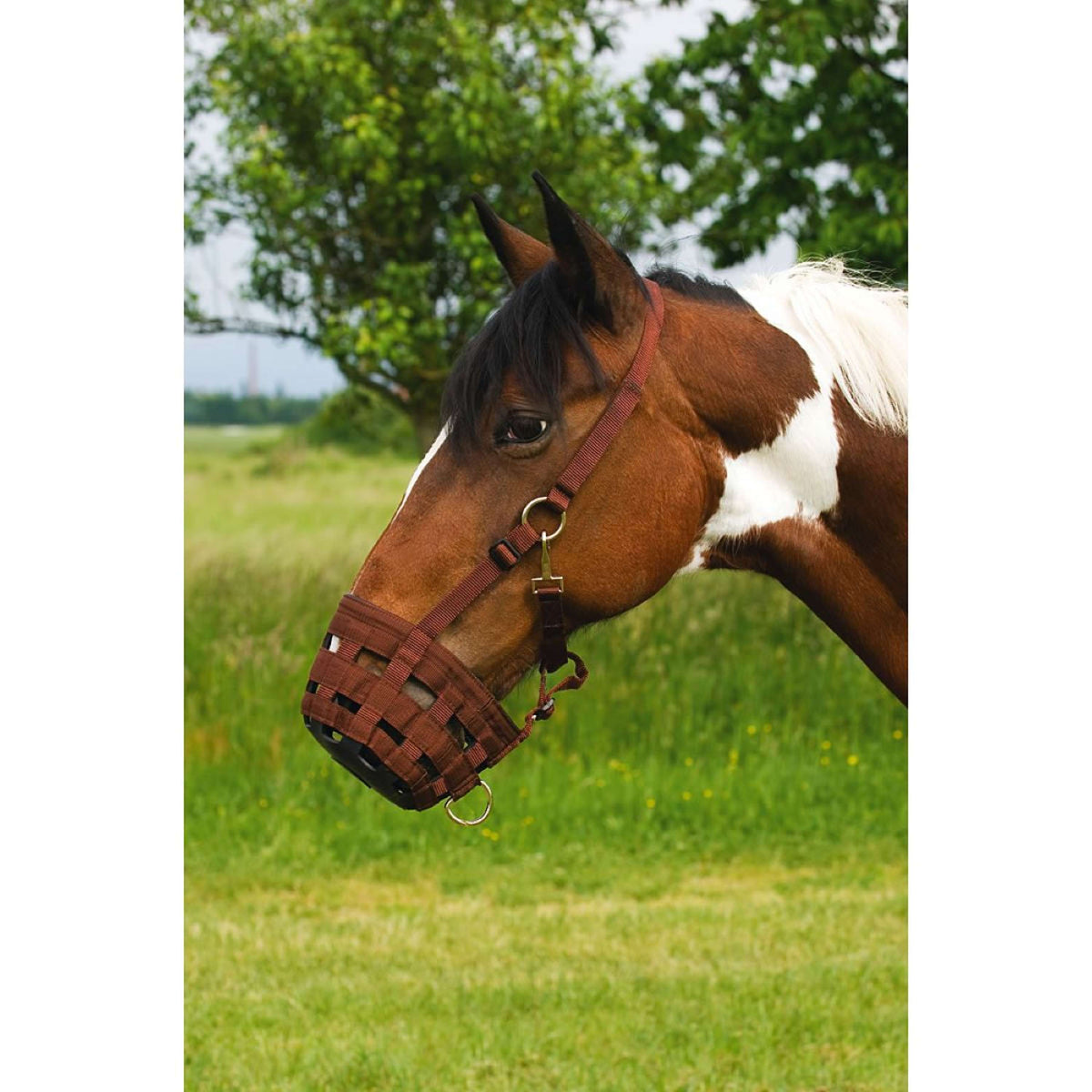 Agradi Grazing Mask Nylon Choco