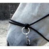 Norton Riding Halter with Reins Black