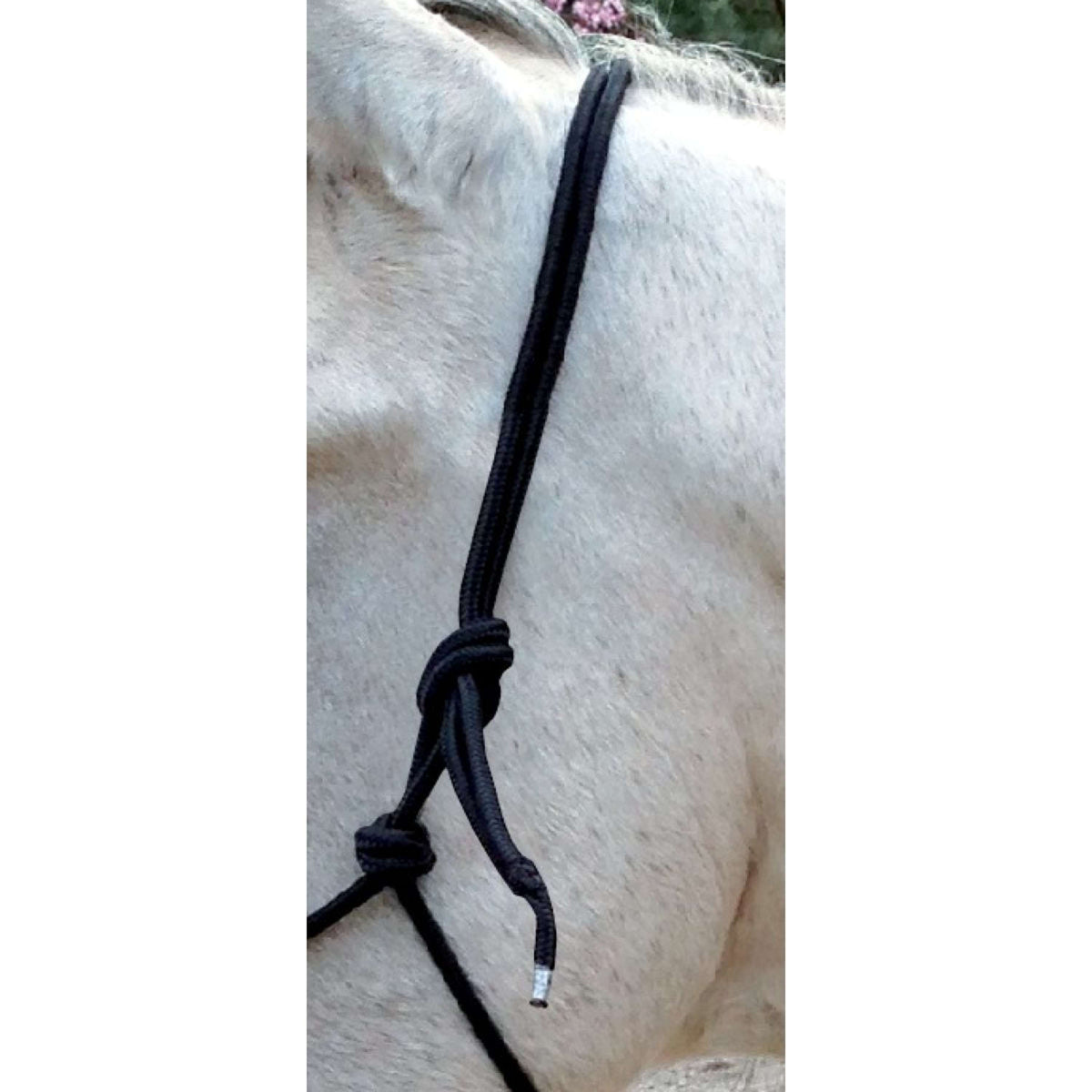 Norton Riding Halter with Reins Black